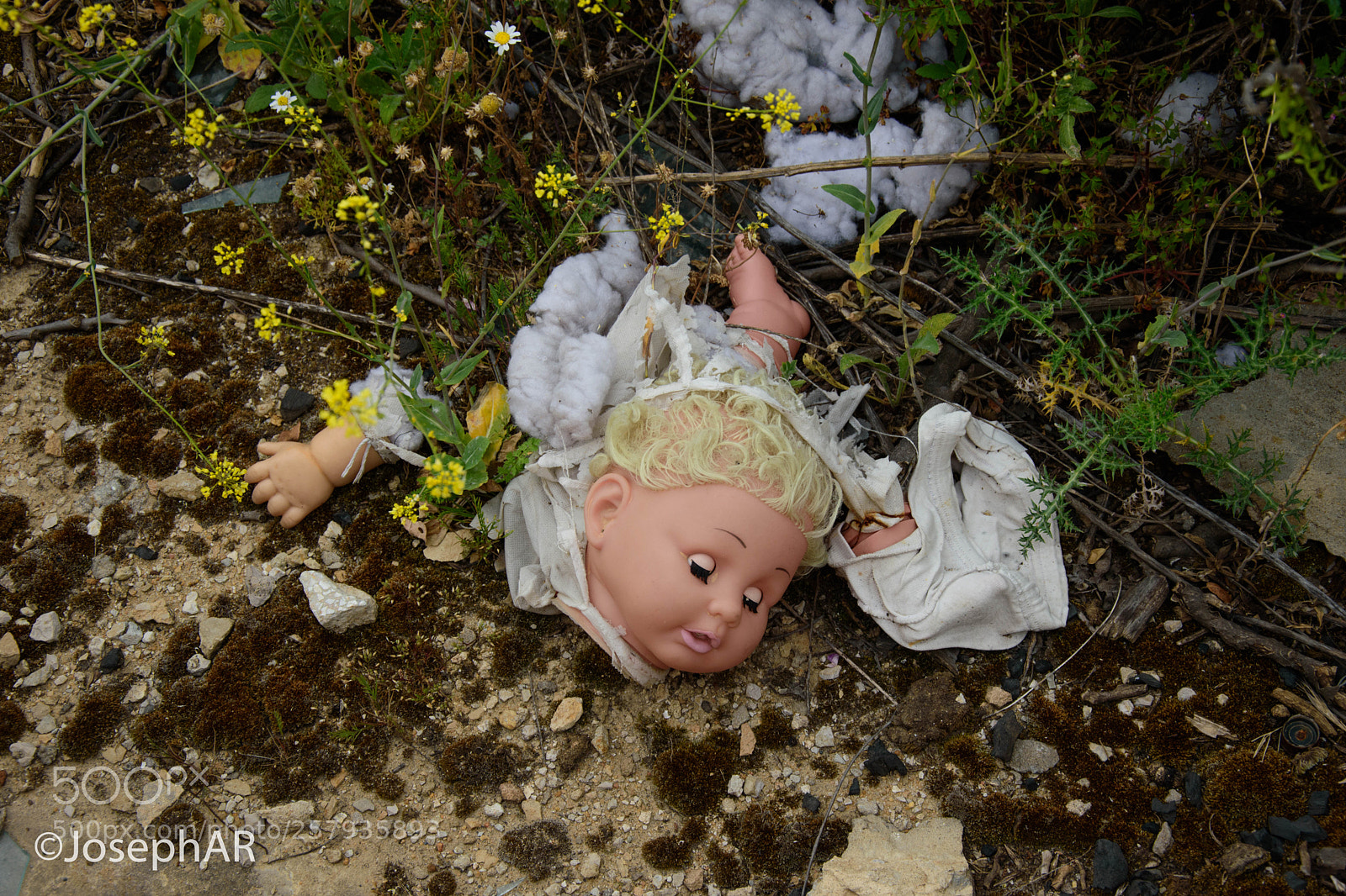 Nikon D5500 sample photo. Doll photography