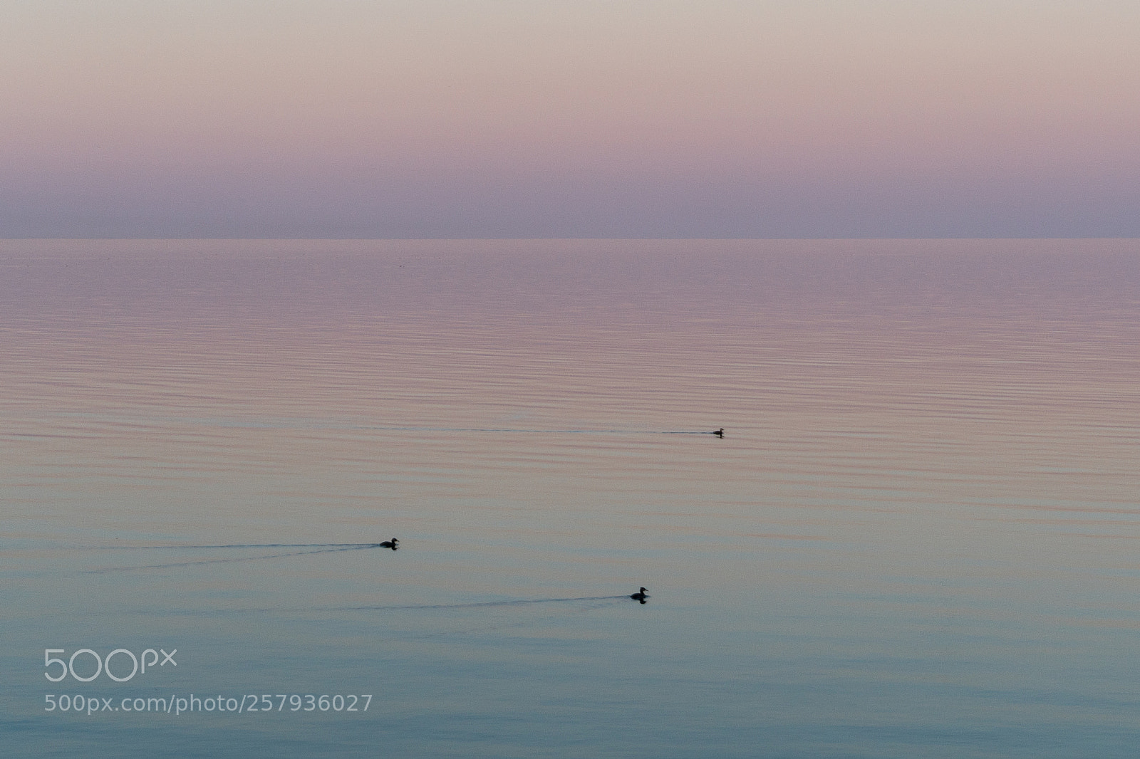 Sony a6300 sample photo. _drg0490-1.jpg photography