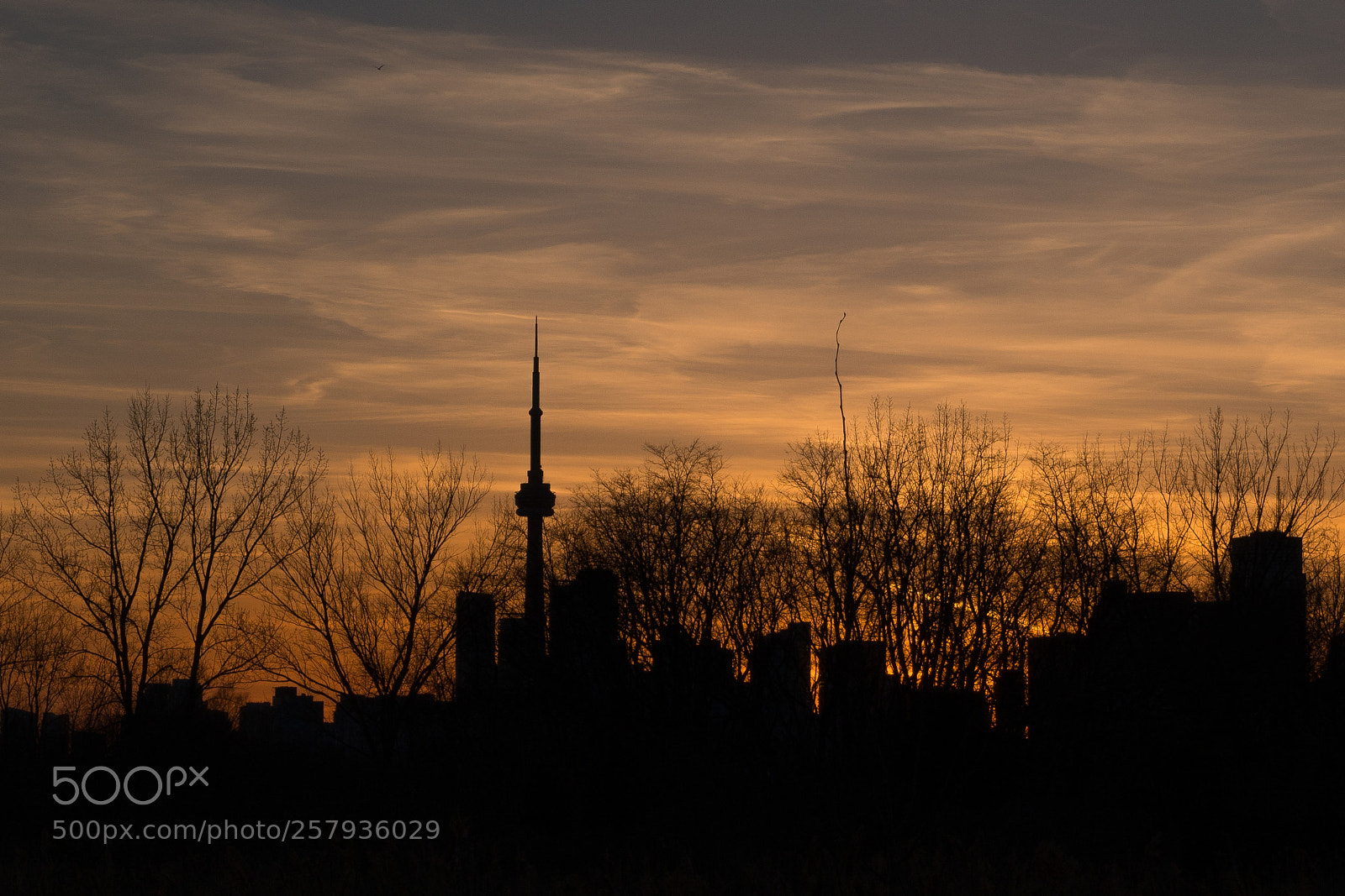 Sony a6300 sample photo. _drg0495-1.jpg photography