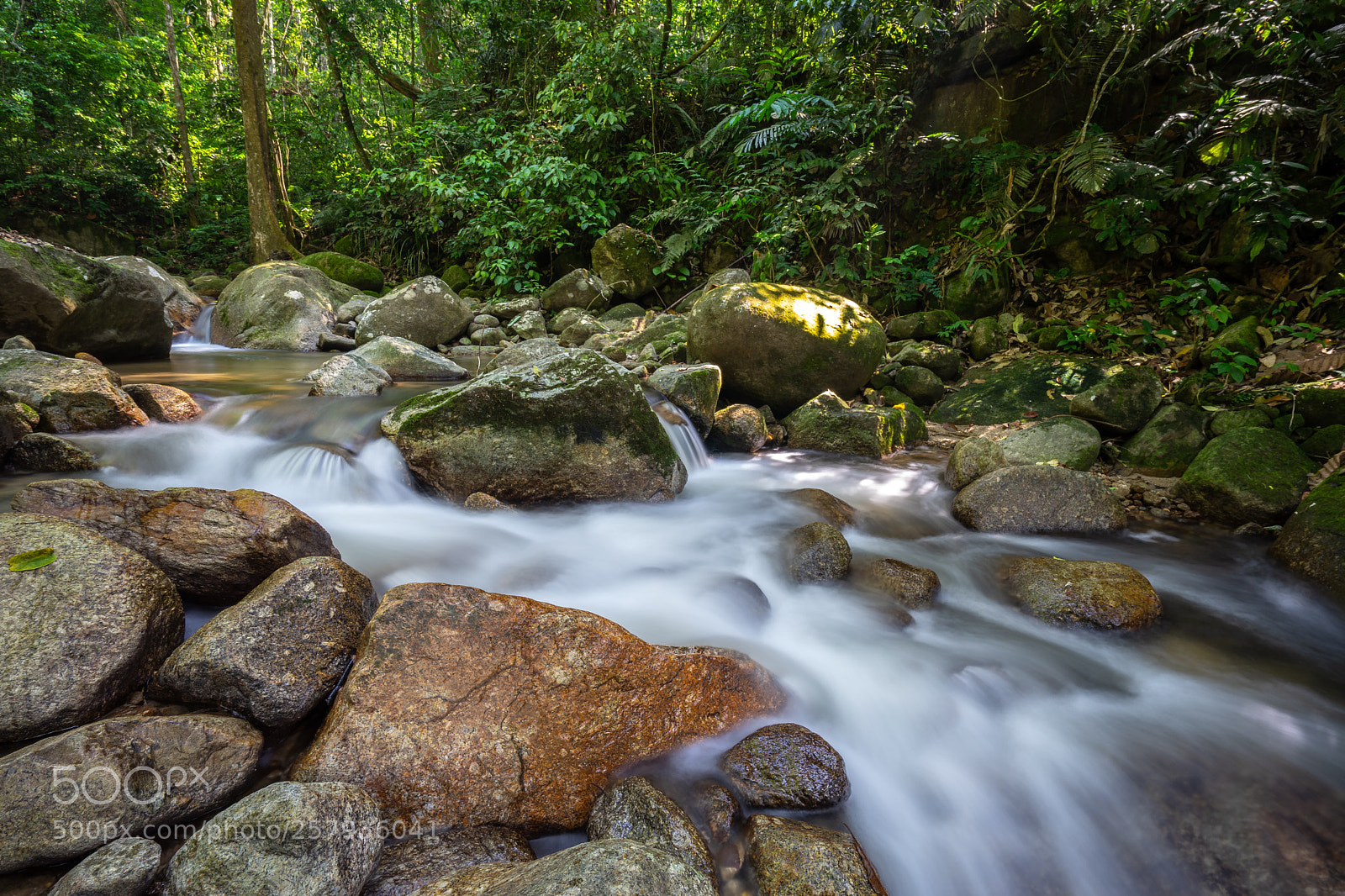 Sony a7 sample photo. ... photography