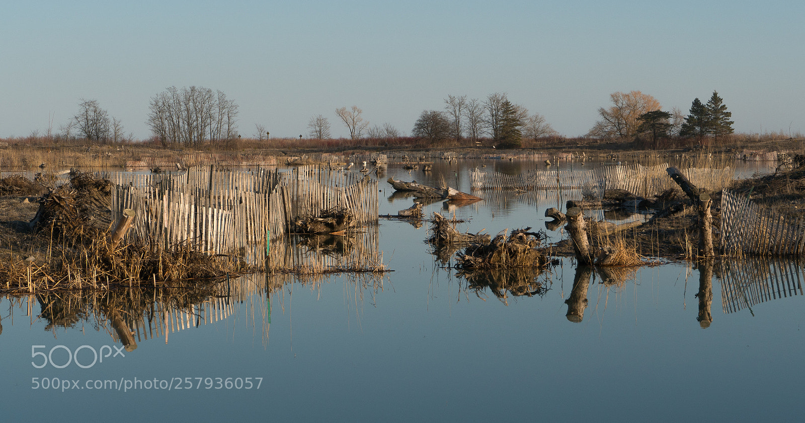 Sony a6300 sample photo. _drg0728-1.jpg photography