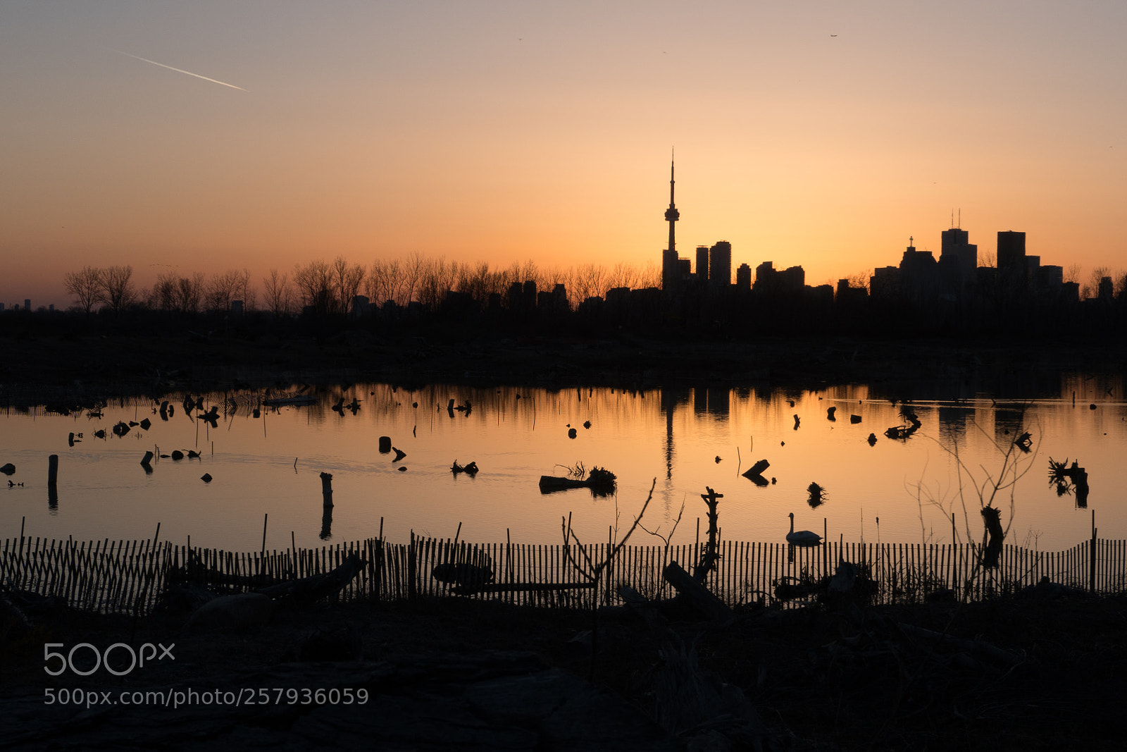 Sony a6300 sample photo. _drg0756-3.jpg photography