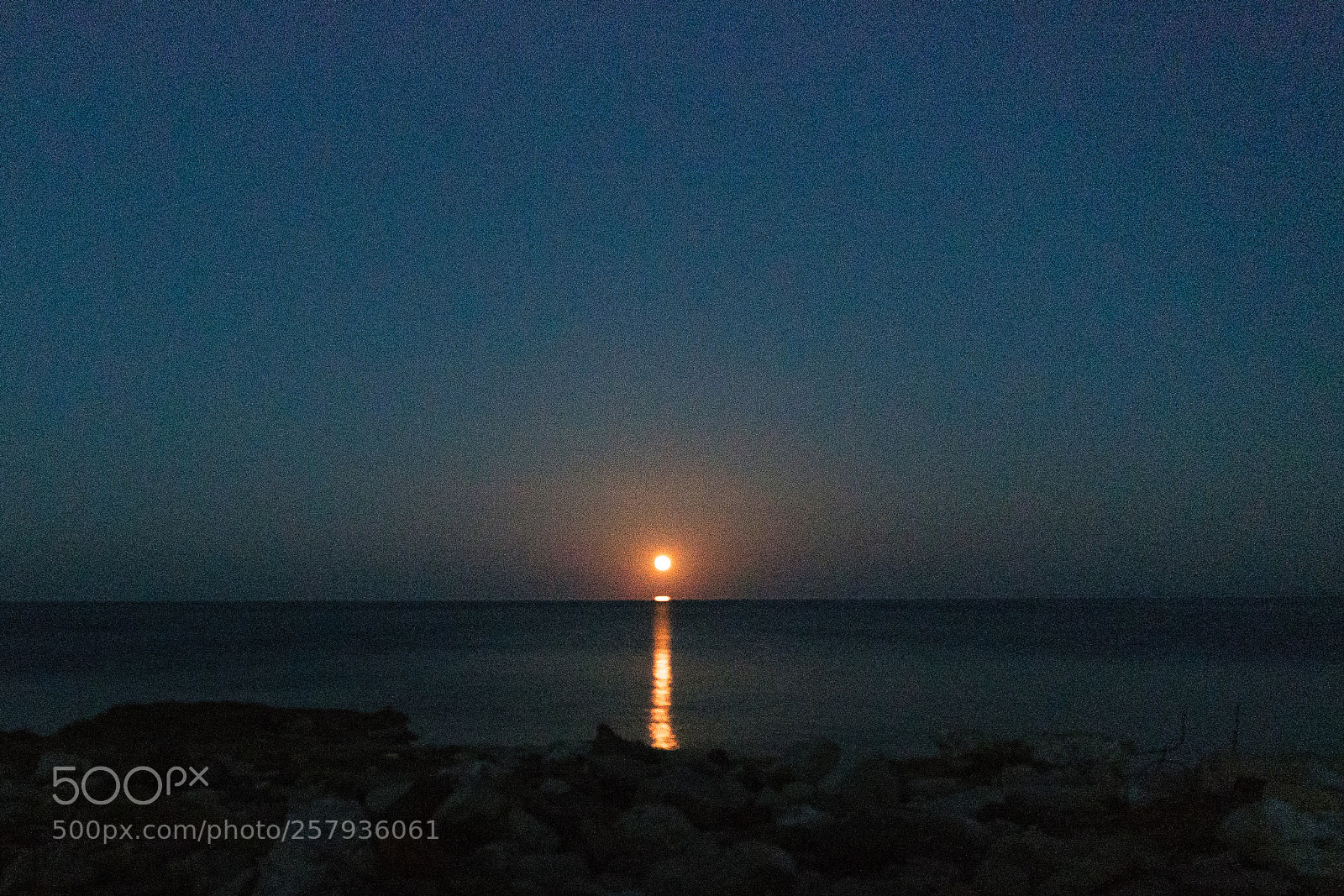 Sony a6300 sample photo. _drg0774-4.jpg photography