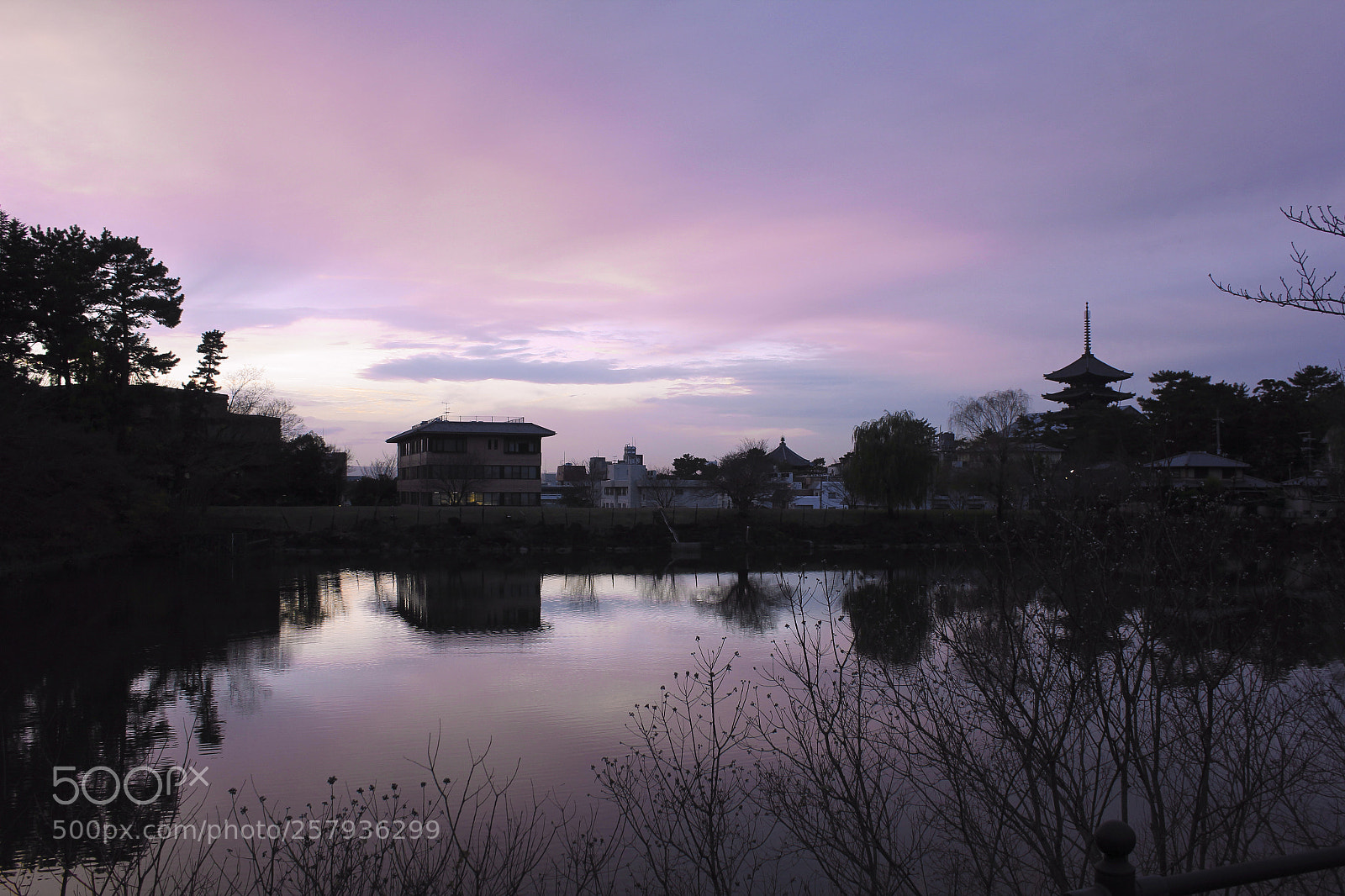 Canon EOS 550D (EOS Rebel T2i / EOS Kiss X4) sample photo. Nara 2 photography