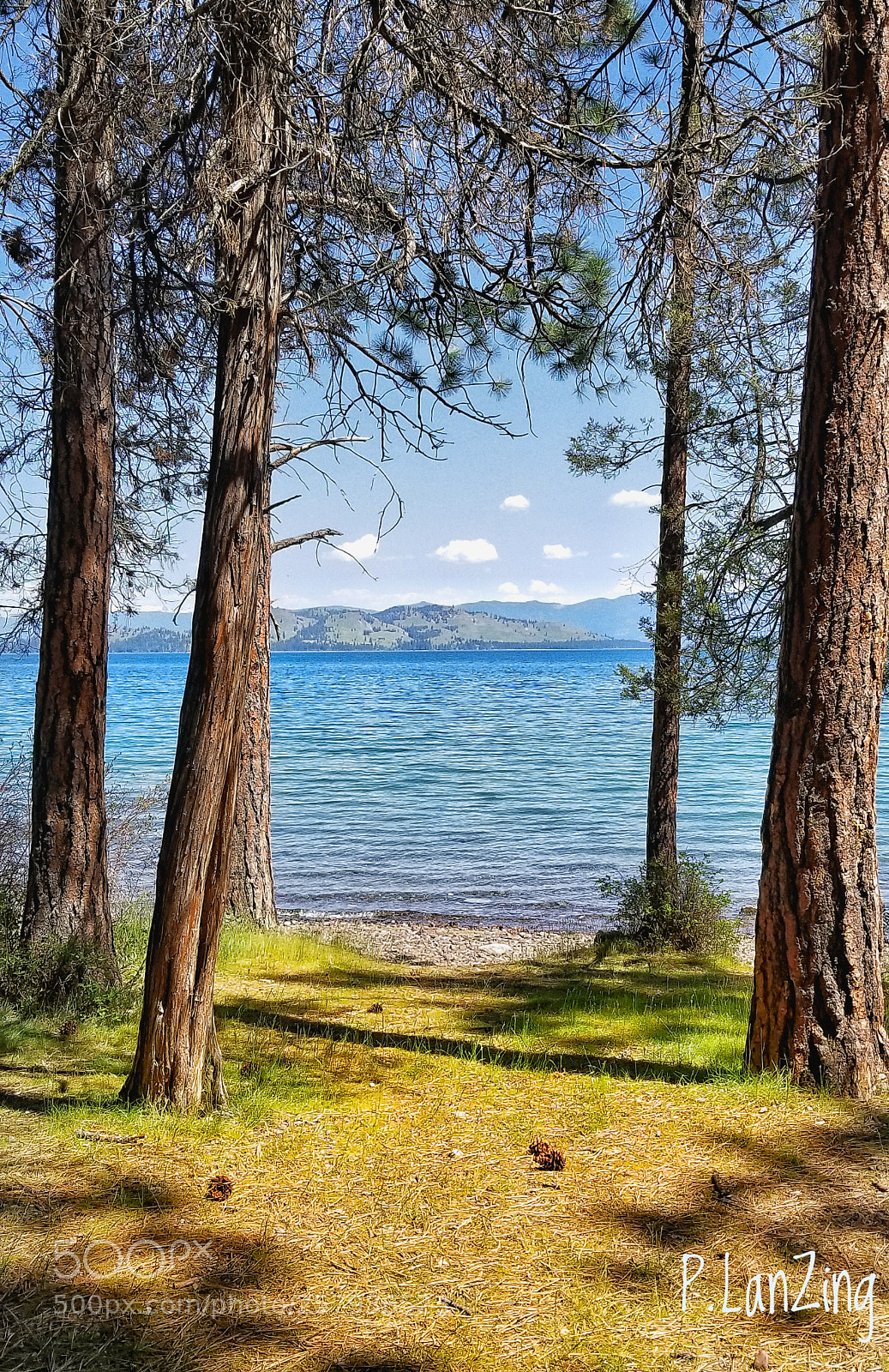 Samsung Galaxy S8+ sample photo. Along flathead lake, montana photography