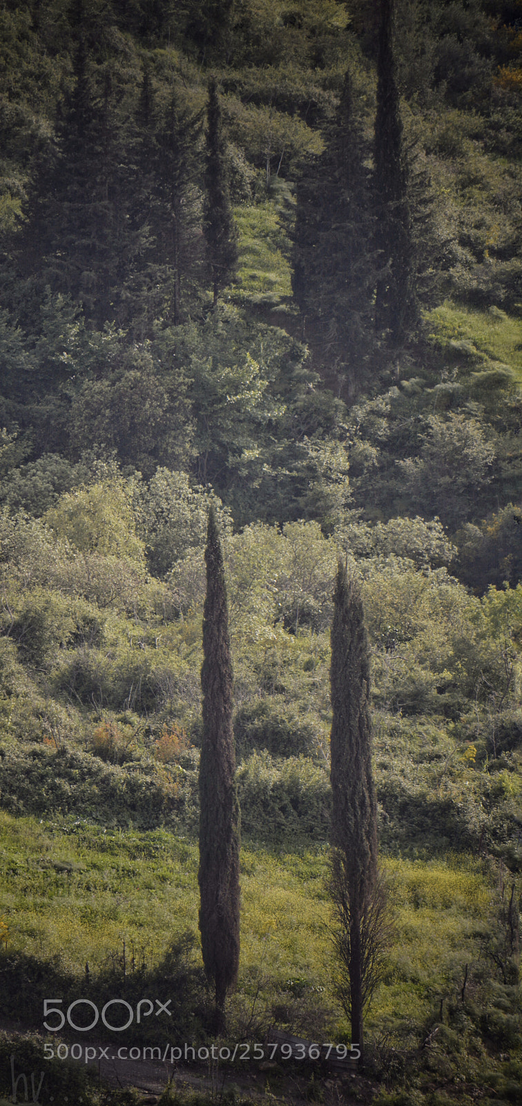 Nikon D7100 sample photo. Untitled photography