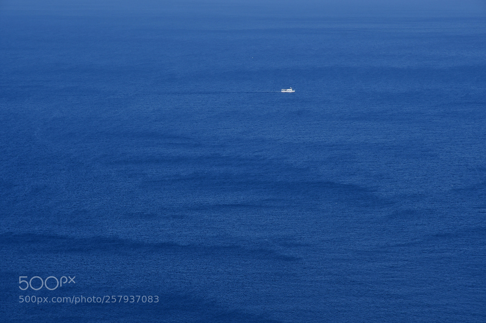 Nikon D500 sample photo. Blue  photography