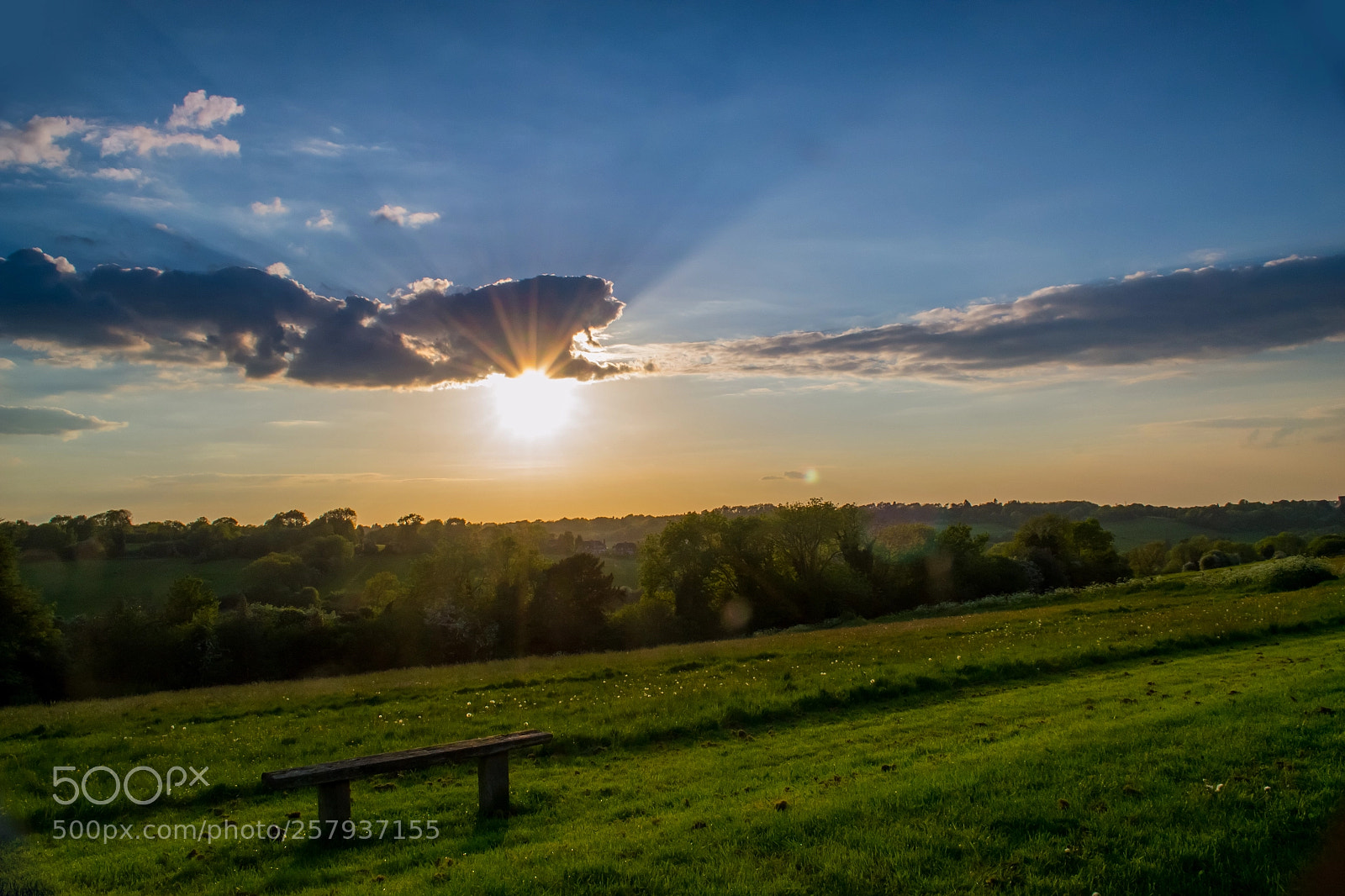 Nikon D3100 sample photo. Farthing downs photography