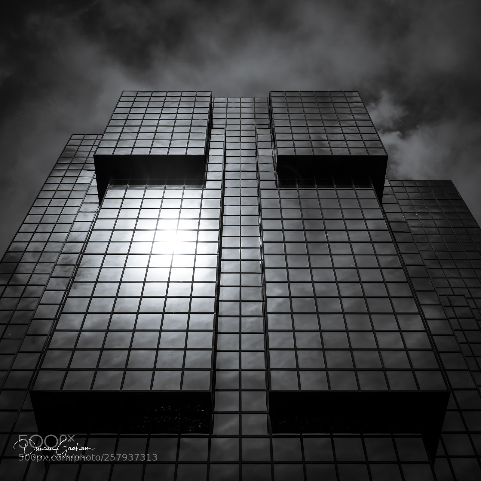 Canon EOS 5D Mark IV sample photo. Invasion photography