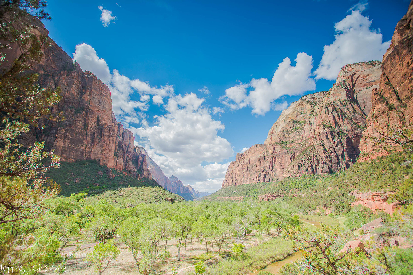 Sony a7R II sample photo. View of zion photography