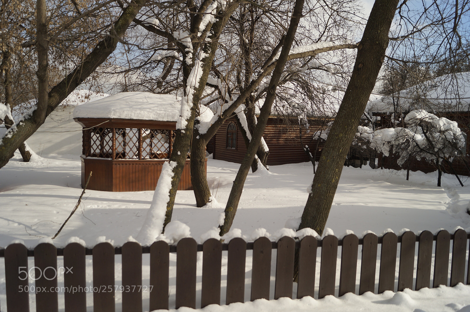Sony SLT-A57 sample photo. Untitled photography