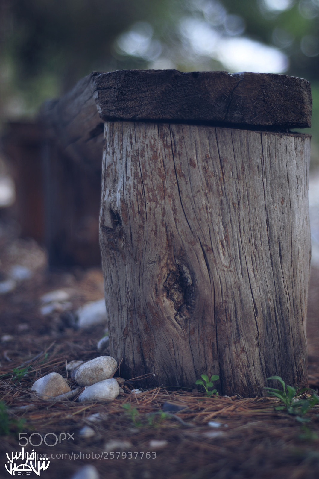 Nikon D5300 sample photo. Untitled photography
