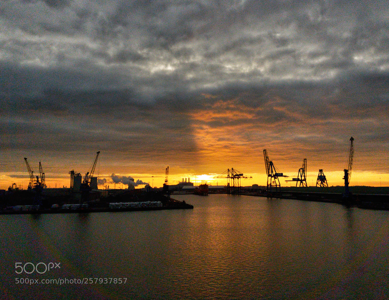 Samsung Galaxy S7 sample photo. Cranes at roost photography
