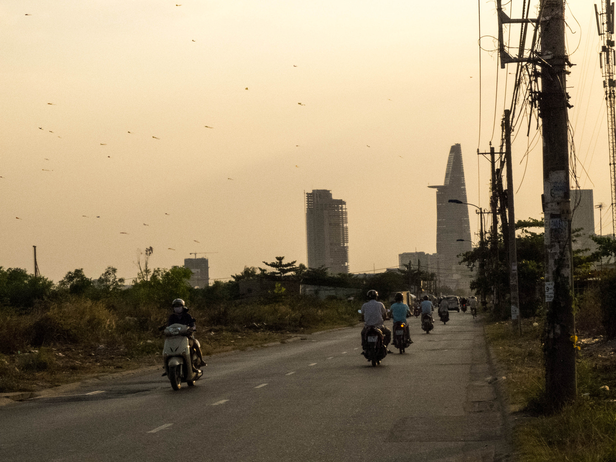 Fujifilm X20 sample photo. Kite birds photography