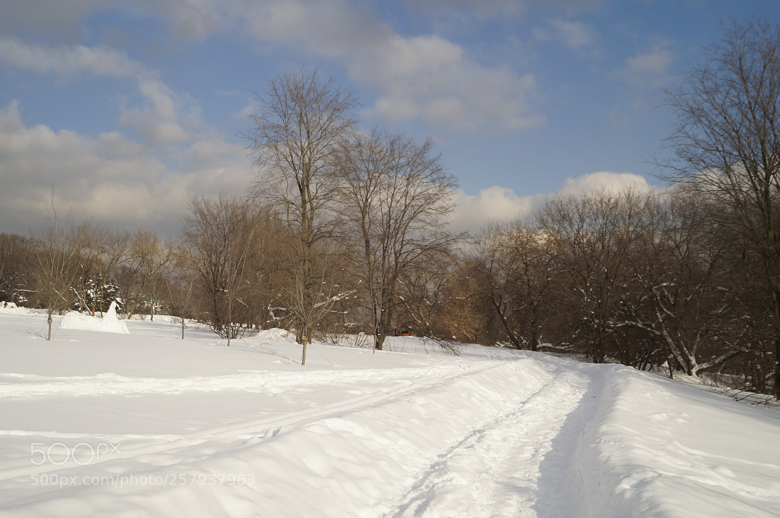 Sony SLT-A57 sample photo. Untitled photography