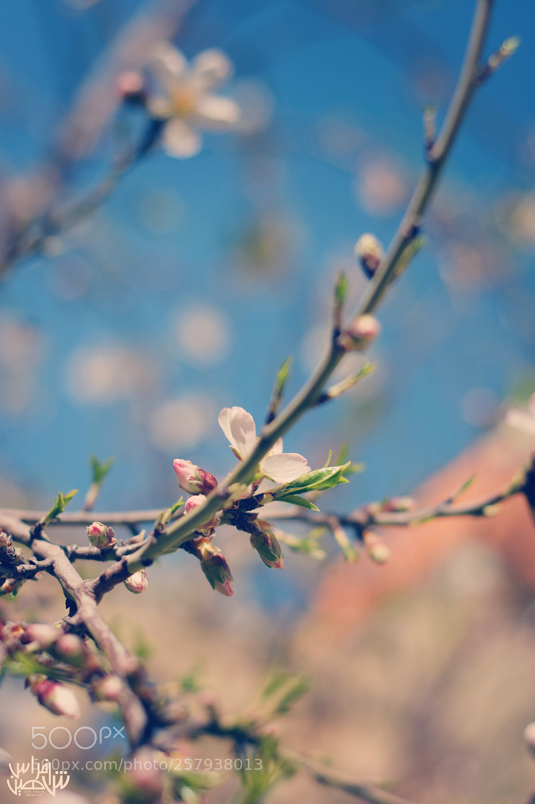 Nikon D5300 sample photo. Untitled photography