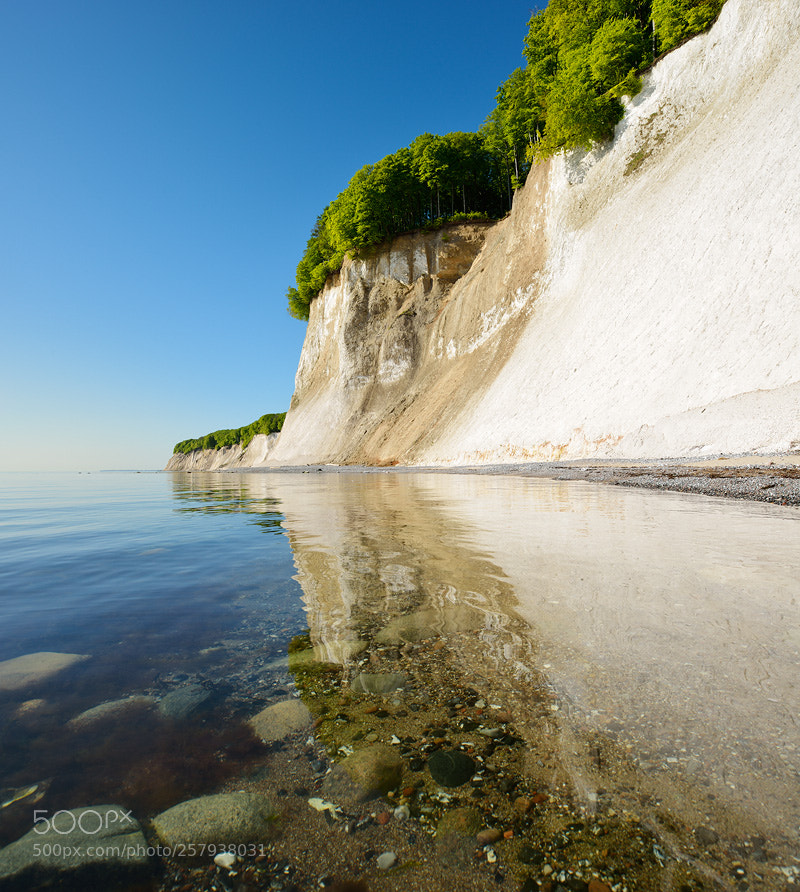 Nikon D800 sample photo. ... free floating ... photography