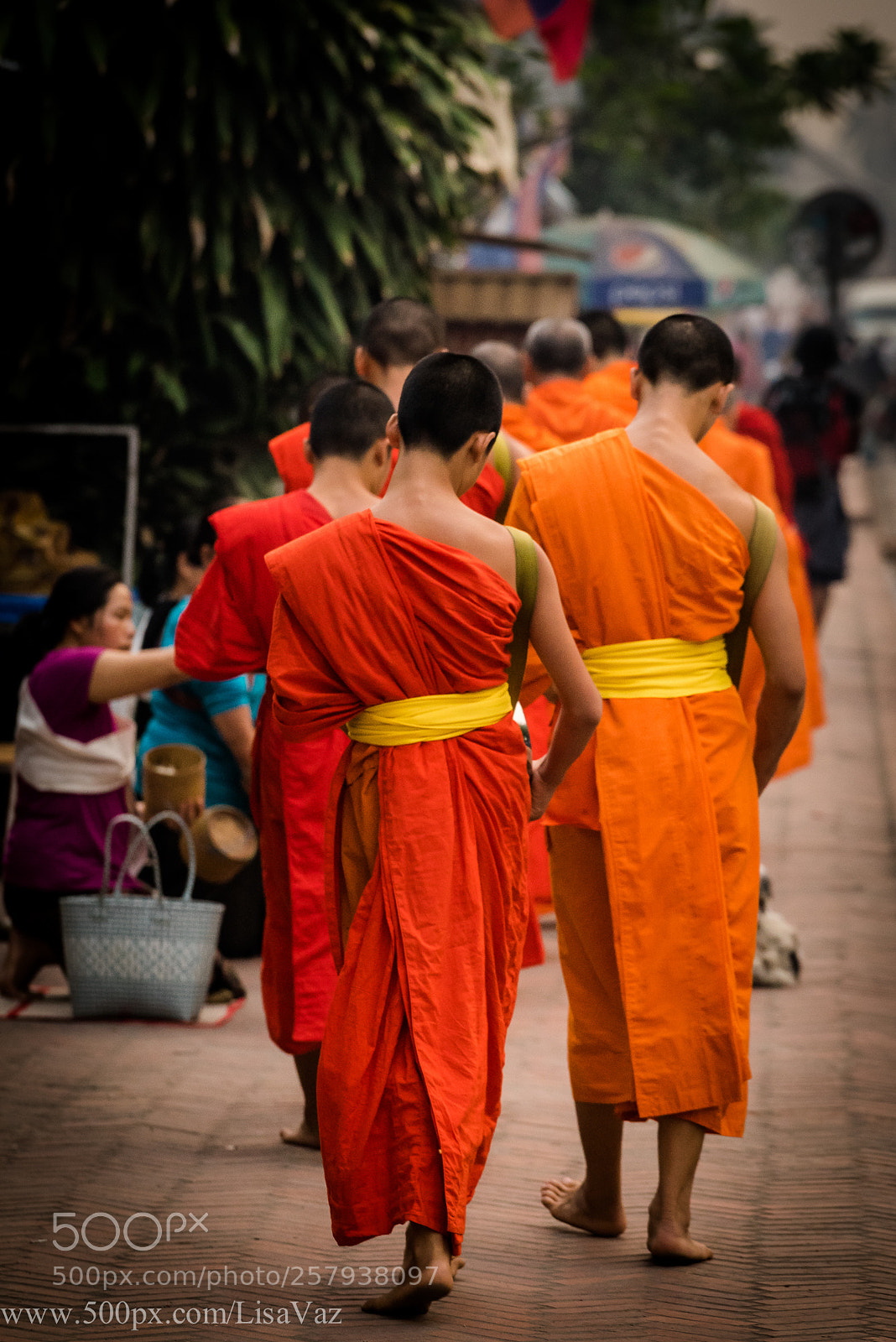 Sony a7R sample photo. Alms photography