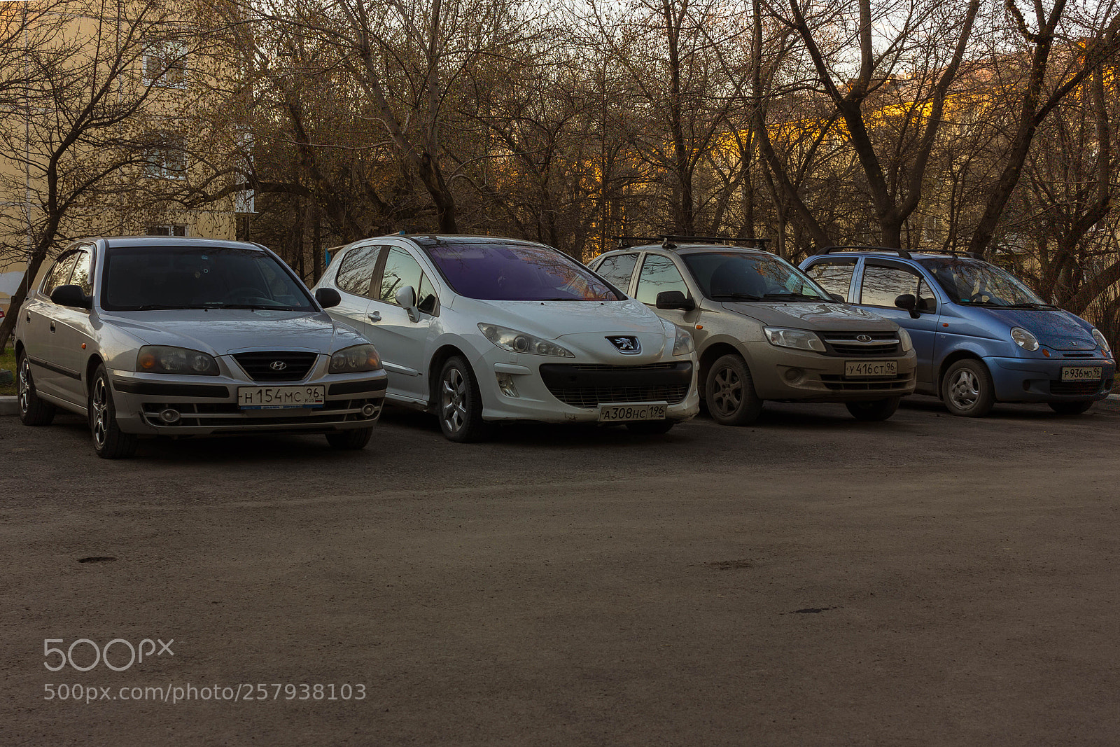 Canon EOS 600D (Rebel EOS T3i / EOS Kiss X5) sample photo. A predator's smile photography