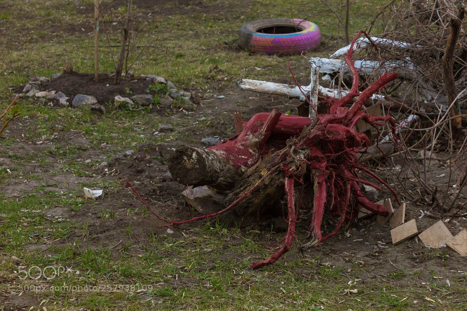 Canon EOS 600D (Rebel EOS T3i / EOS Kiss X5) sample photo. Roots bloody roots photography