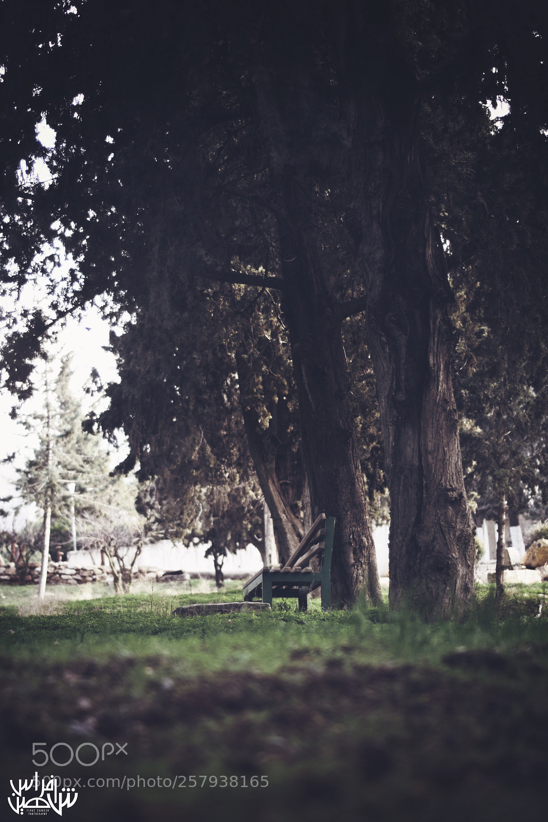 Nikon D5300 sample photo. Untitled photography