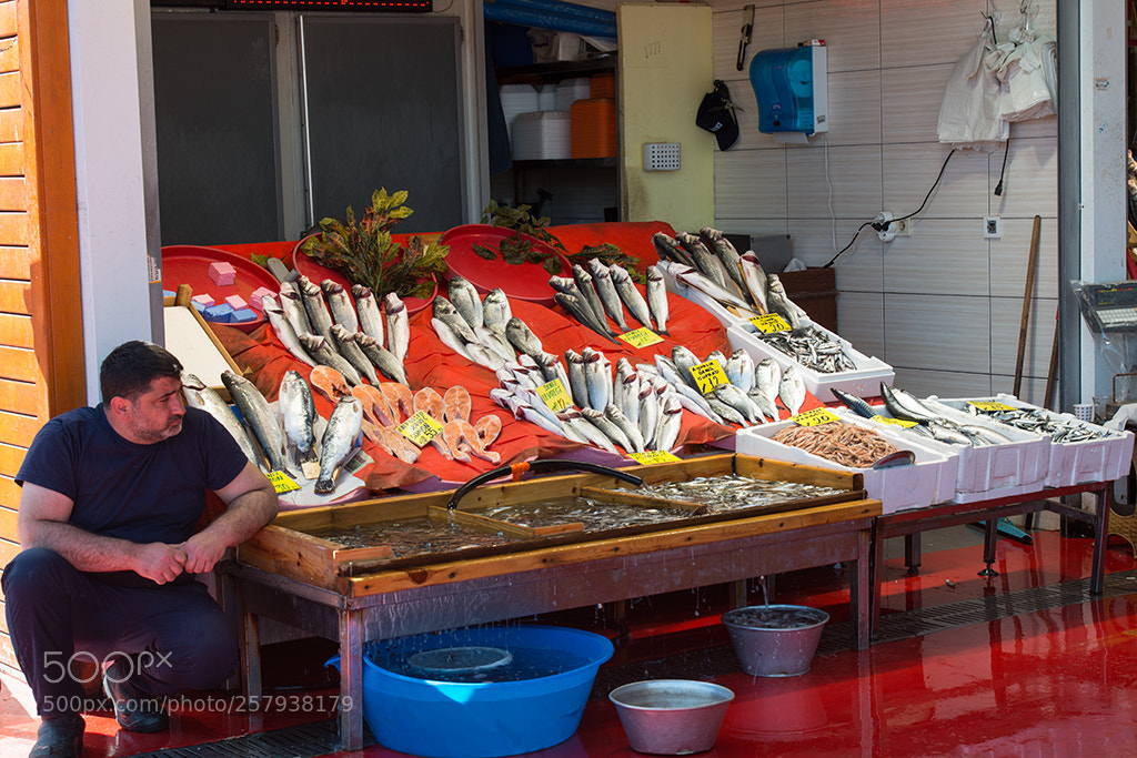 Nikon D800 sample photo. Fishmonger photography