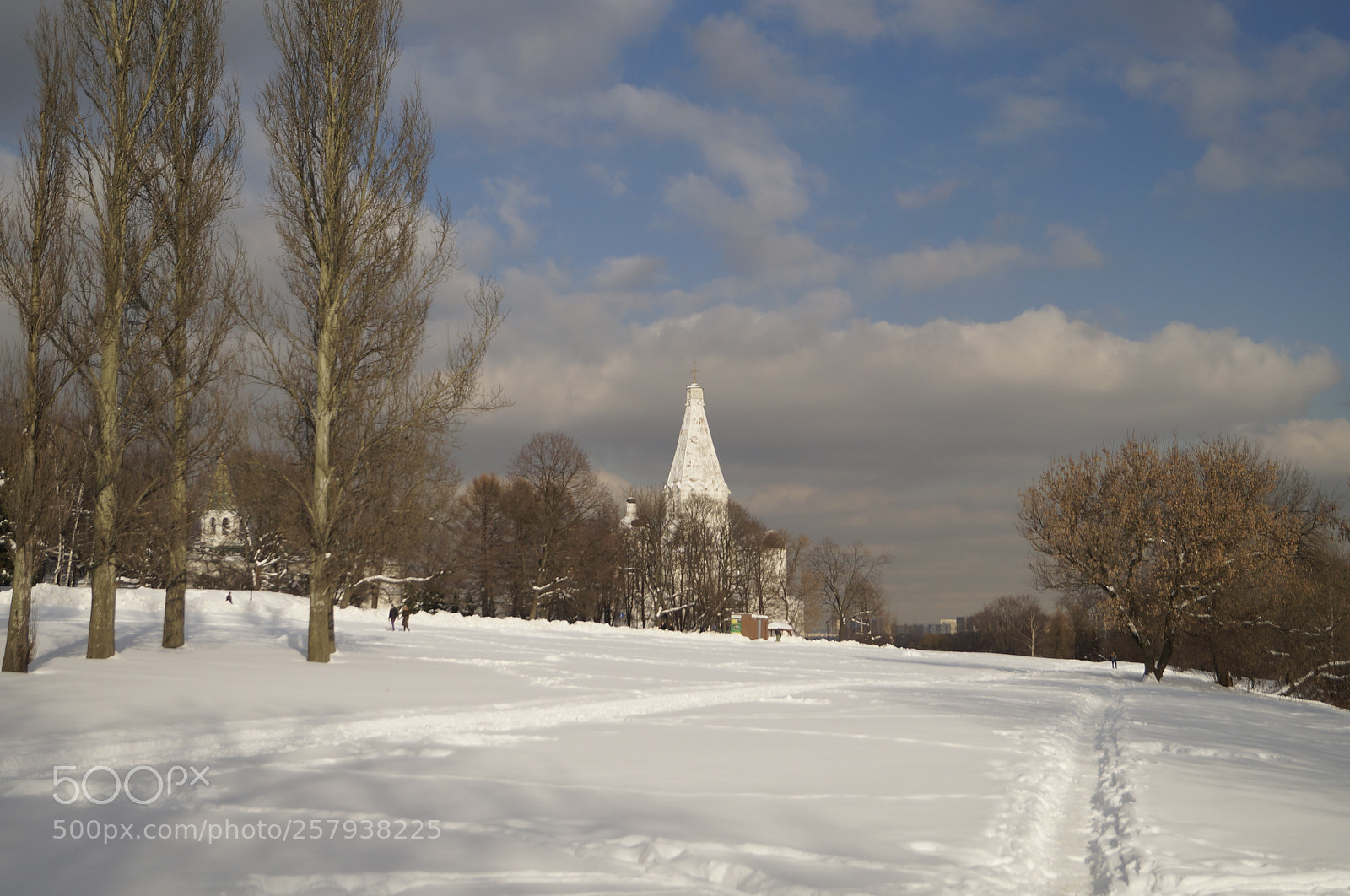 Sony SLT-A57 sample photo. Untitled photography