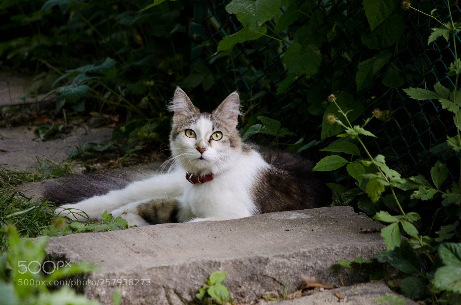 Nikon D7000 sample photo. Fabulous photography