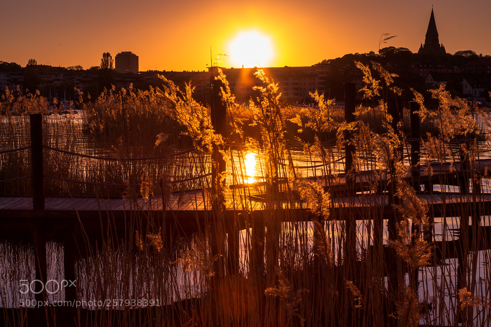 Canon EOS 6D Mark II sample photo. Golden hour sjöstaden photography