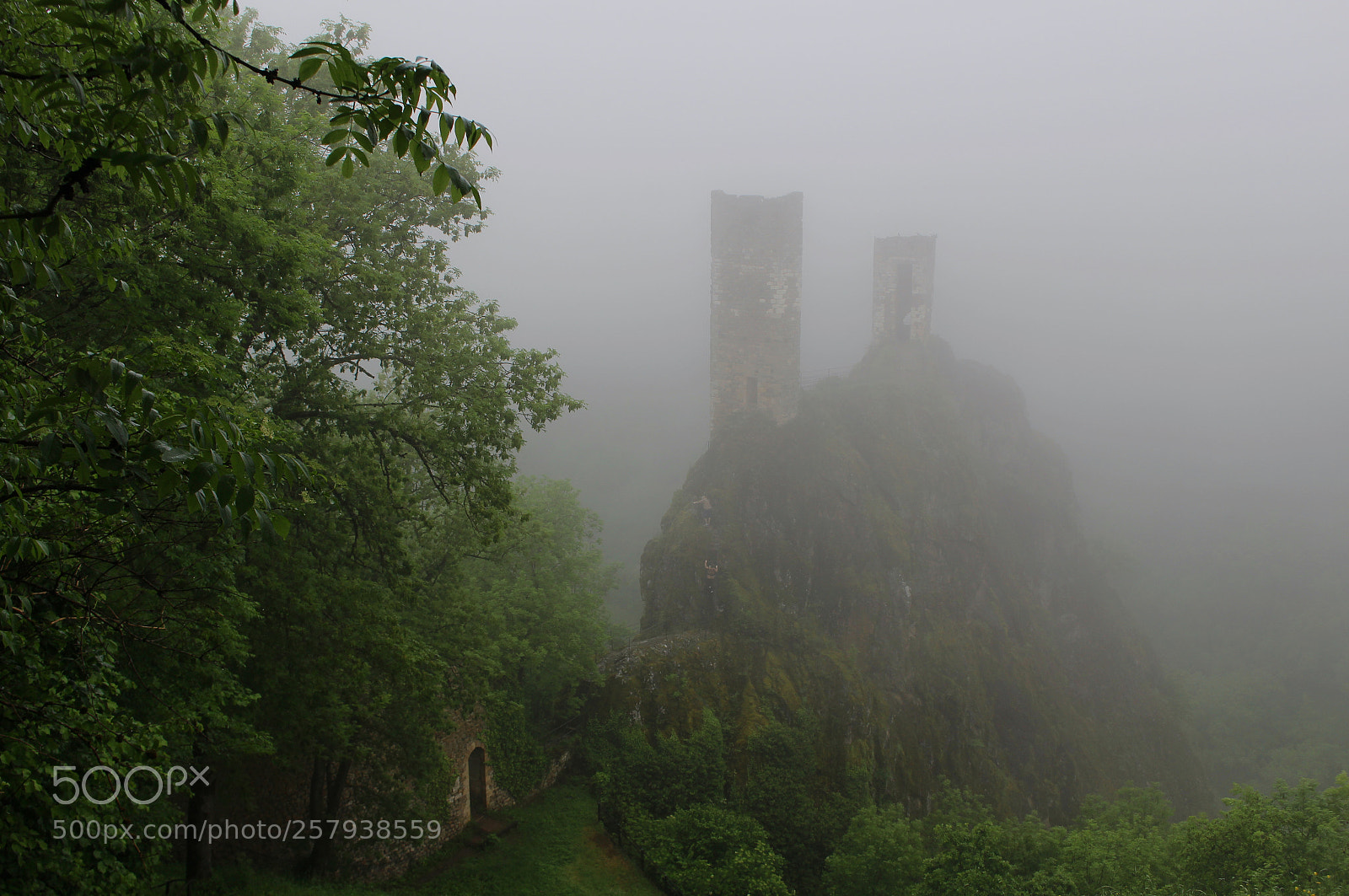 Canon EOS 100D (EOS Rebel SL1 / EOS Kiss X7) sample photo. Brouillard sur peyrusse le photography