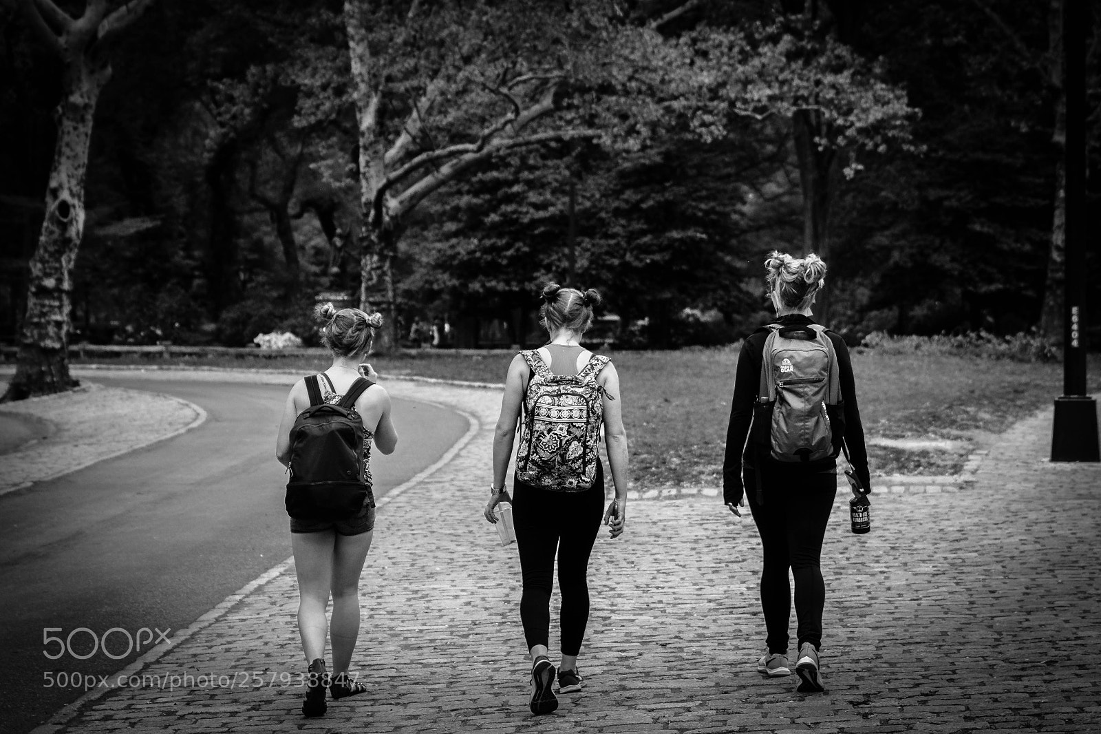 Canon EOS 700D (EOS Rebel T5i / EOS Kiss X7i) sample photo. The three musketeers photography