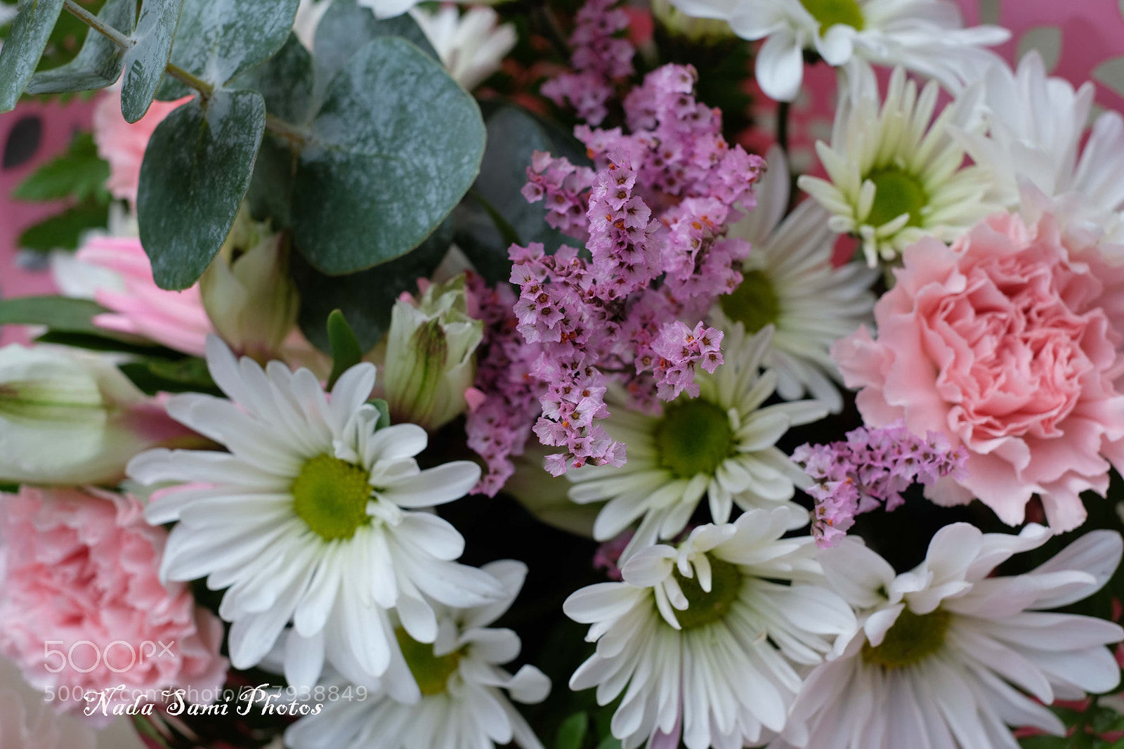 Fujifilm X-T2 sample photo. Spring collection photography