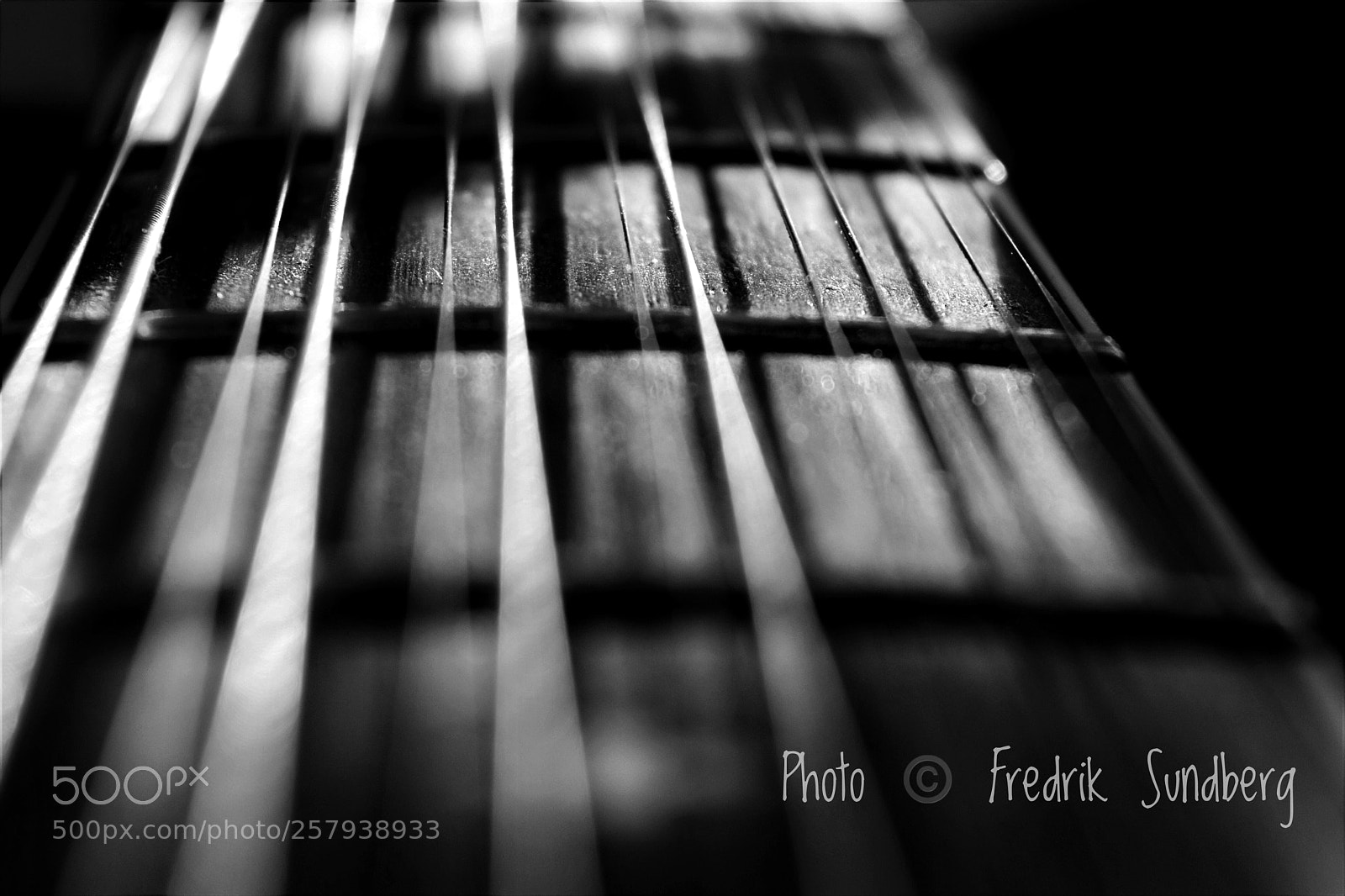 Nikon D3300 sample photo. 12-string guitar photography