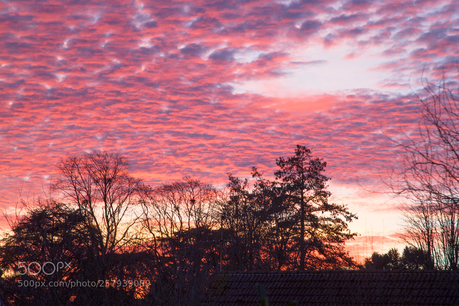 Canon EOS 6D sample photo. Sunset at home photography