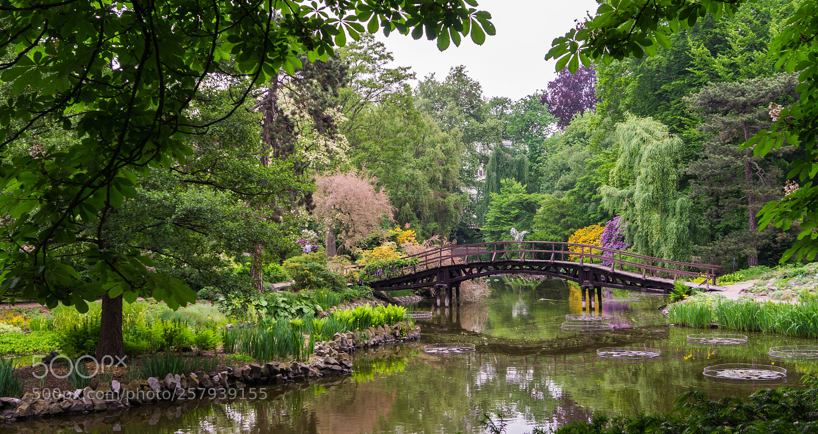 Sony a5100 sample photo. Wracław garden photography