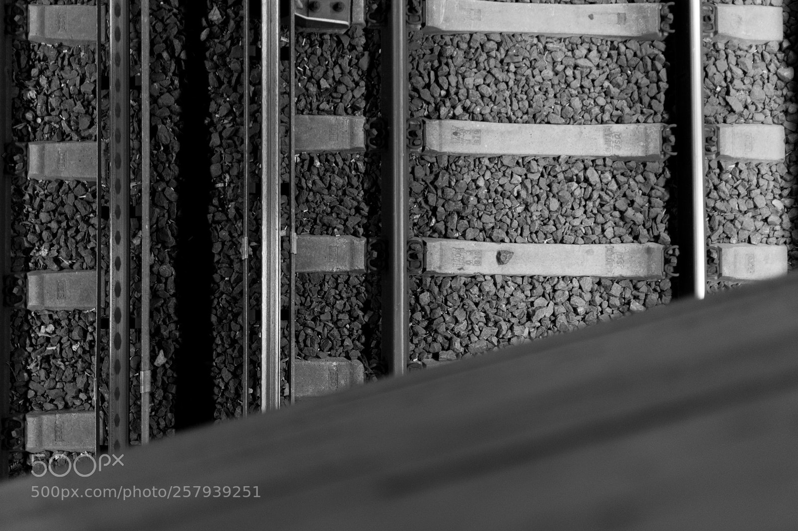 Nikon D5600 sample photo. Metal lines that transfer photography