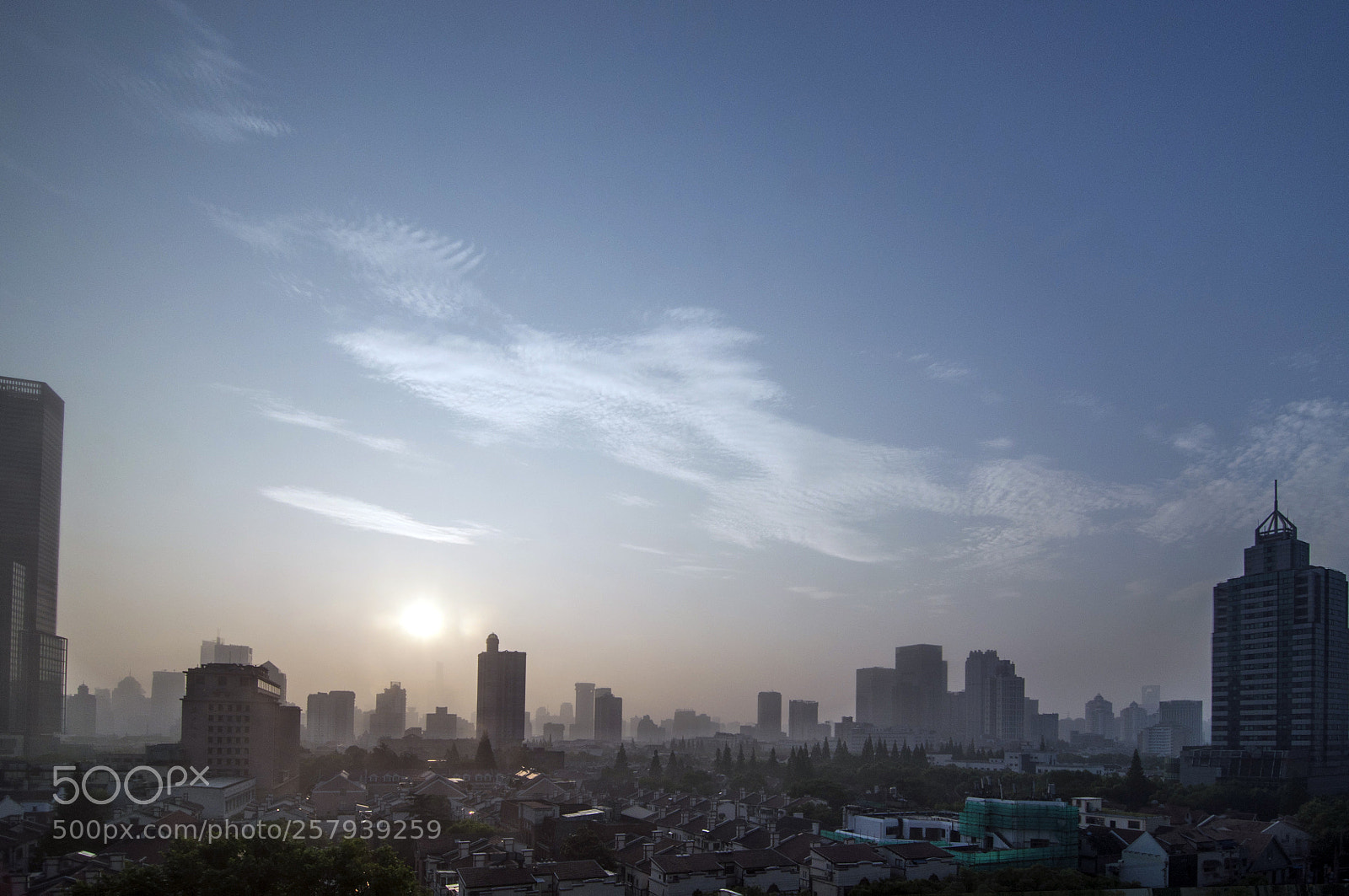 Nikon D90 sample photo. Morning photography