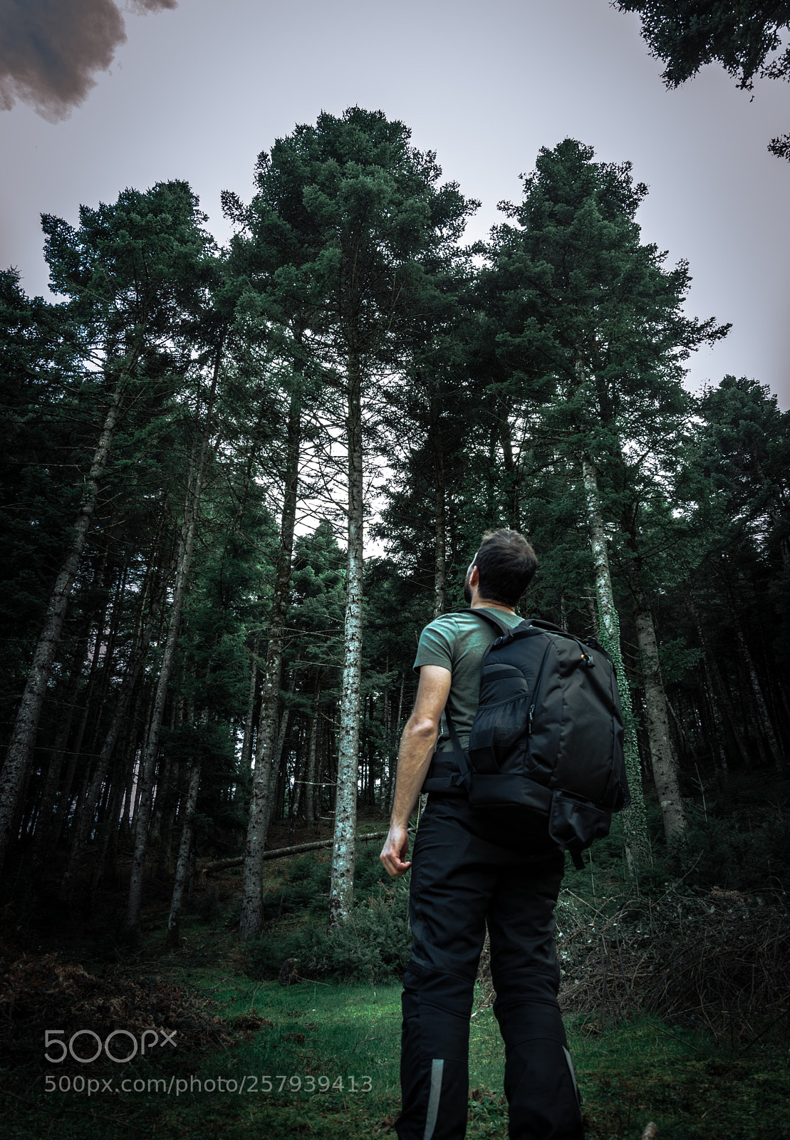 Nikon D5600 sample photo. Come walk with me photography