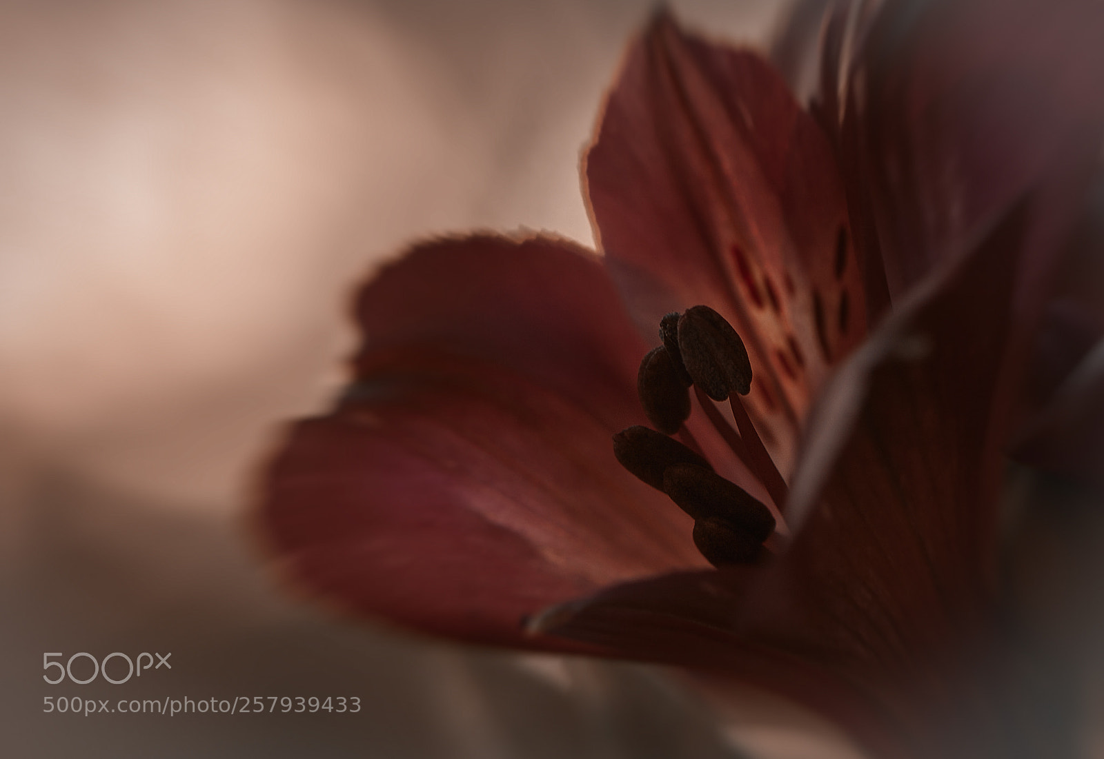 Canon EOS 50D sample photo. Evening light photography