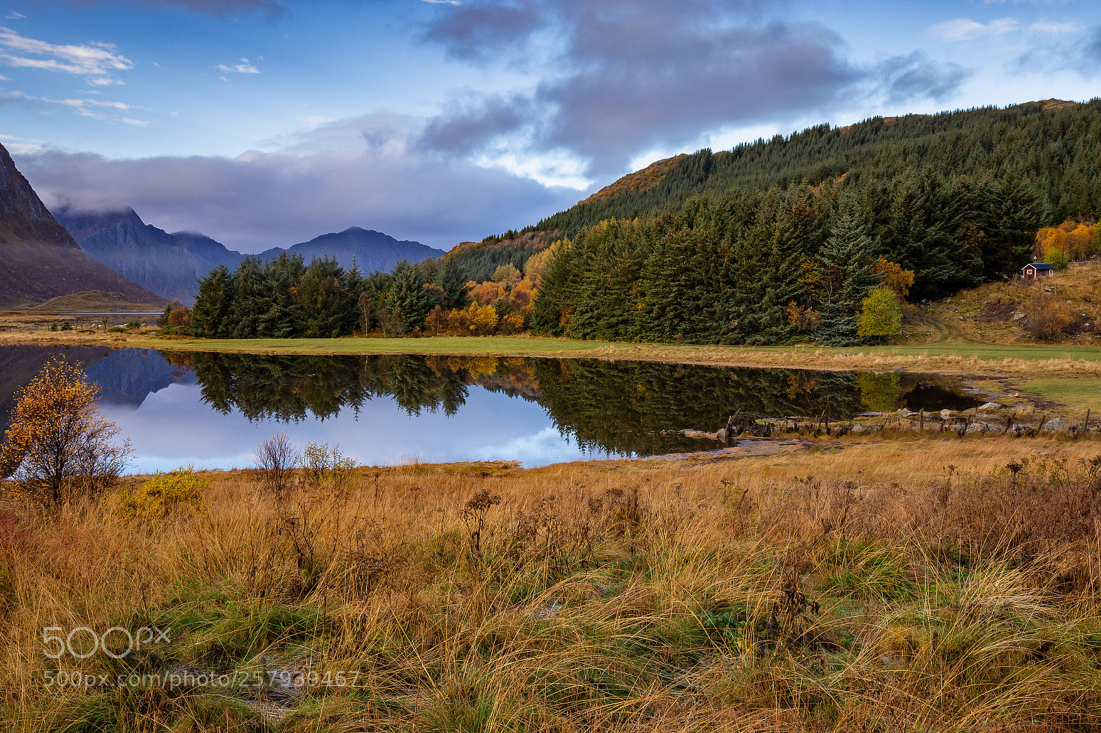 Canon EOS 6D sample photo. Northern autumn photography
