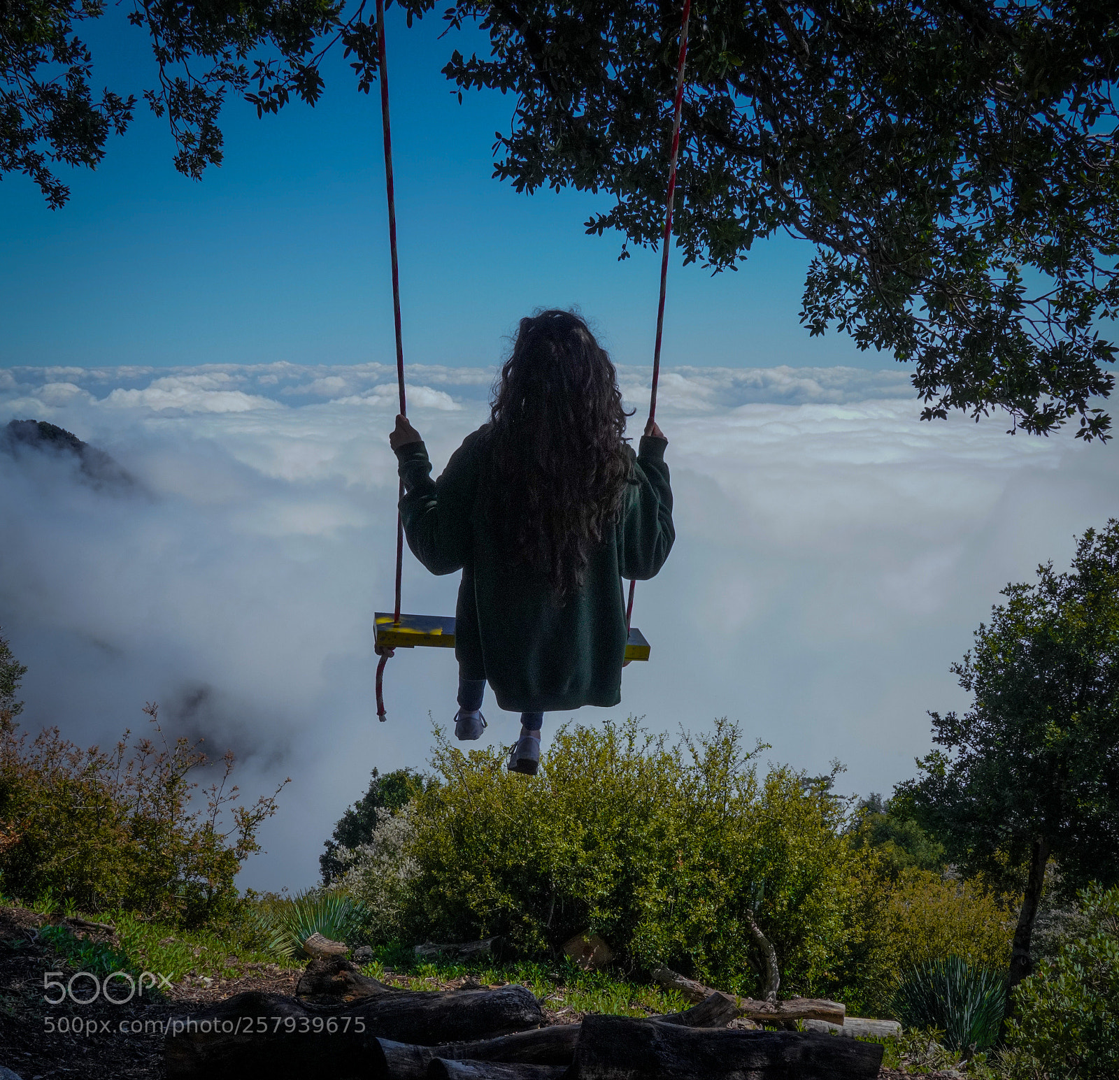 Sony a7R III sample photo. Dream swing photography