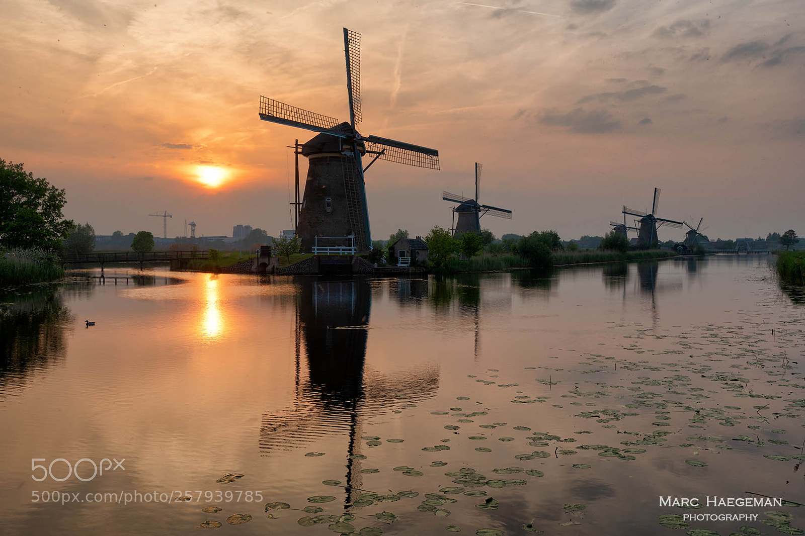 Nikon D850 sample photo. Kinderdijk sunset photography