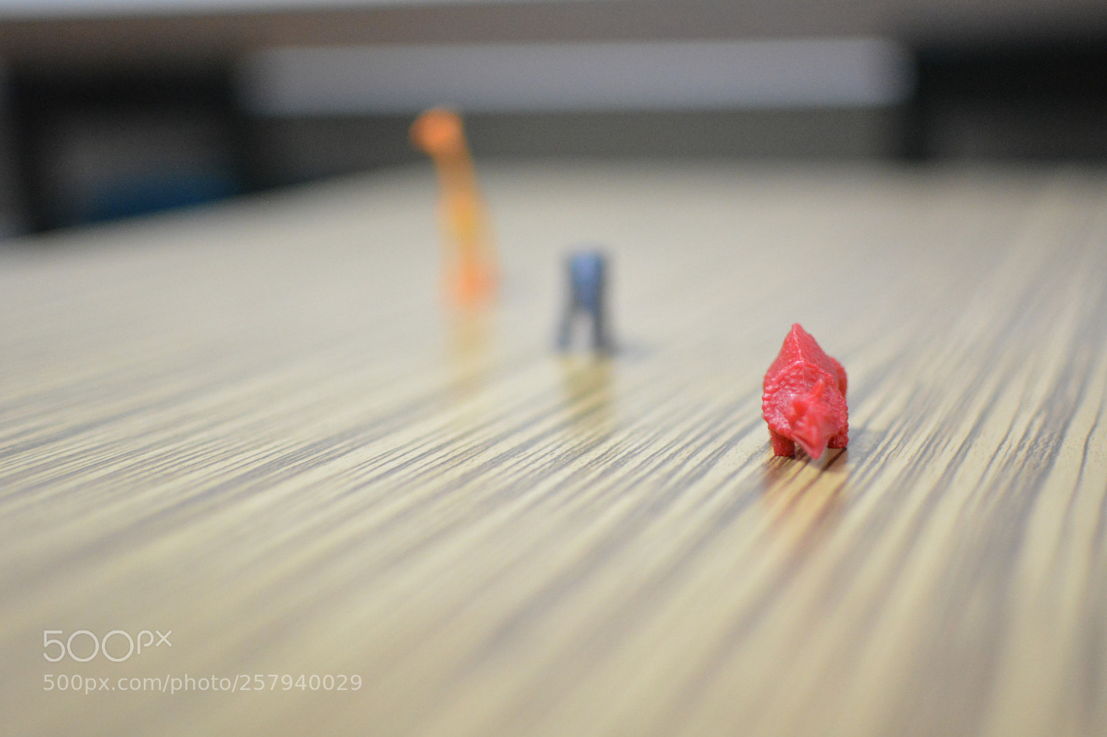 Nikon D5200 sample photo. Primer elemento en profundidad photography