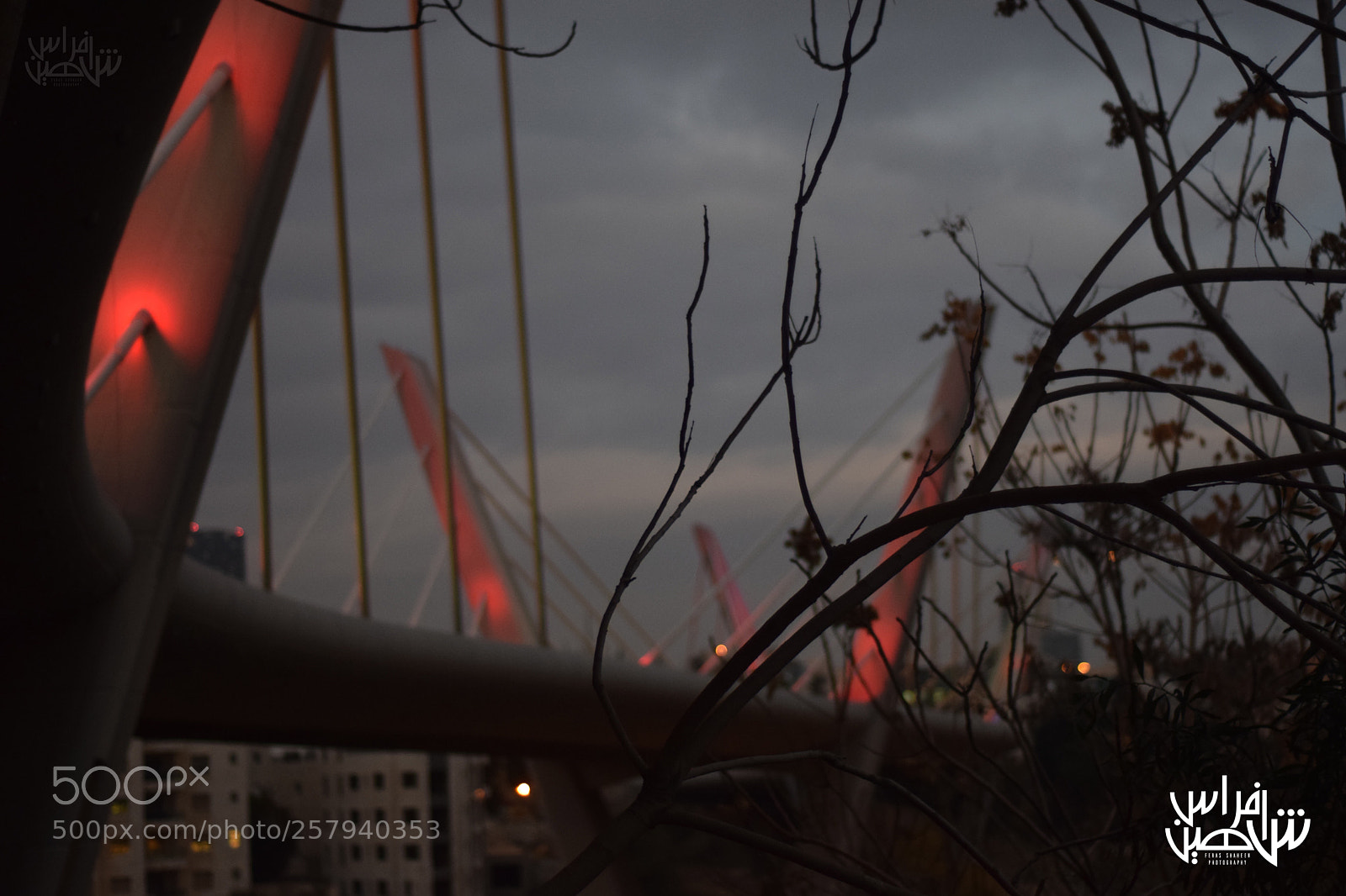 Nikon D5300 sample photo. Untitled photography