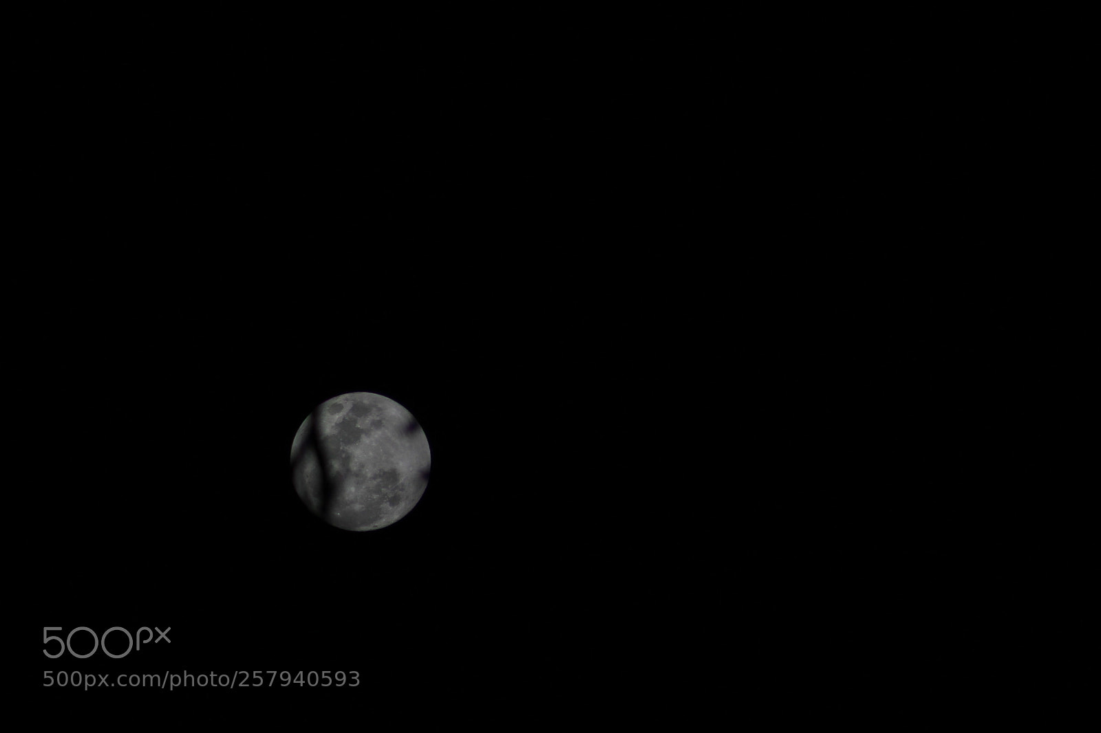 Canon EF 75-300mm f/4-5.6 sample photo. Img photography