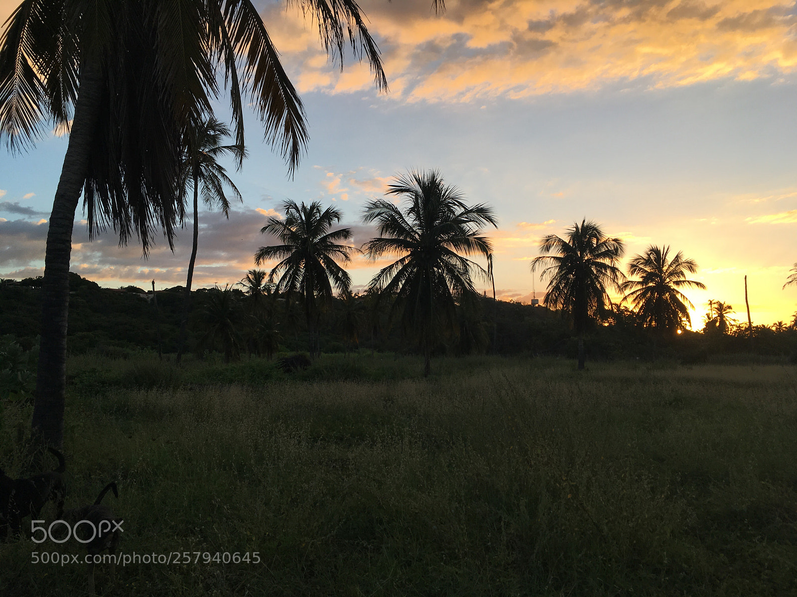 Apple iPhone SE sample photo. Por do sol photography