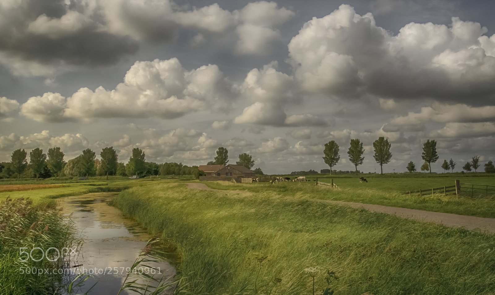 Nikon D5100 sample photo. A countryside view ! photography