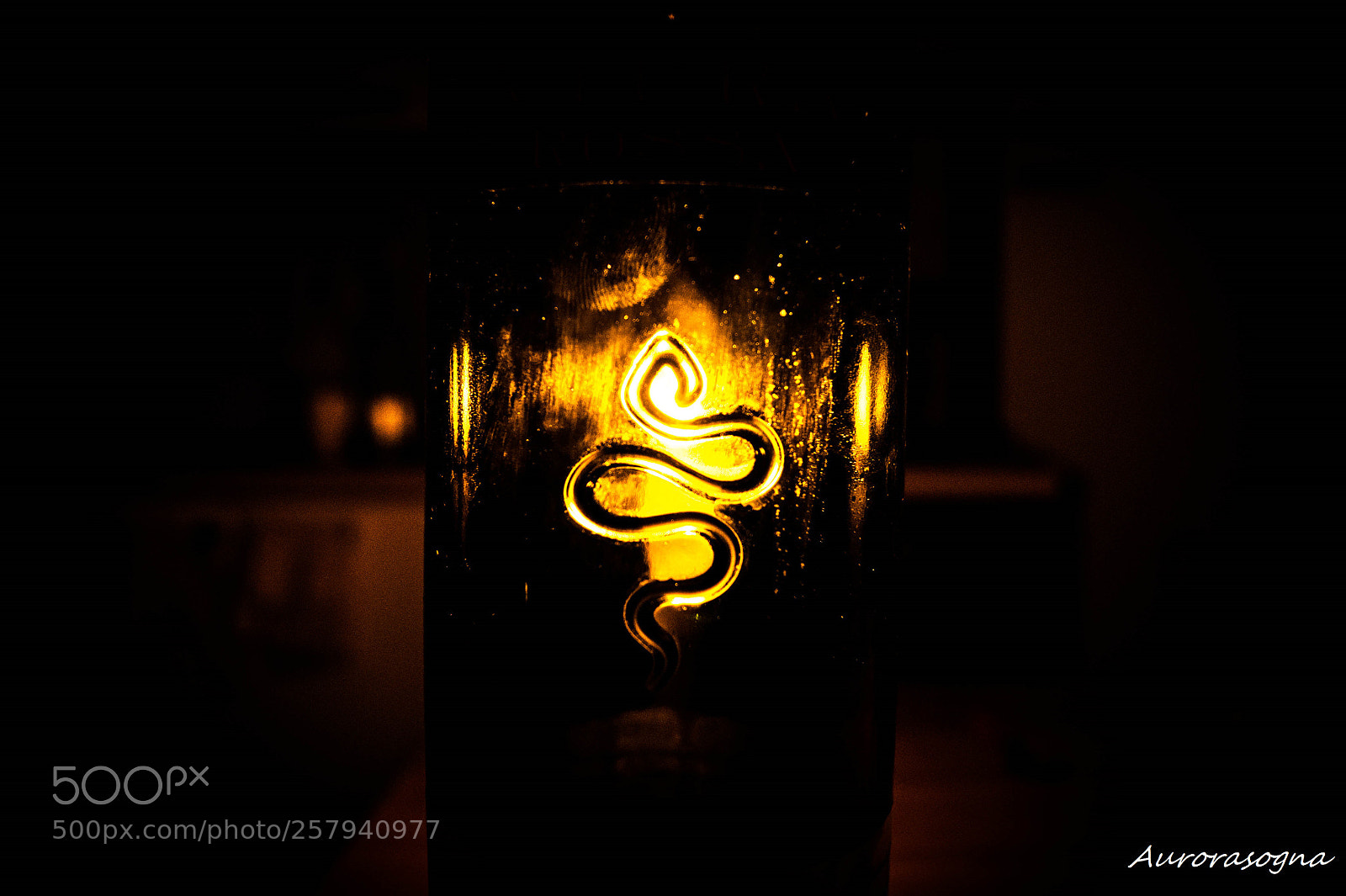 Sony Alpha DSLR-A290 sample photo. Vipra photography