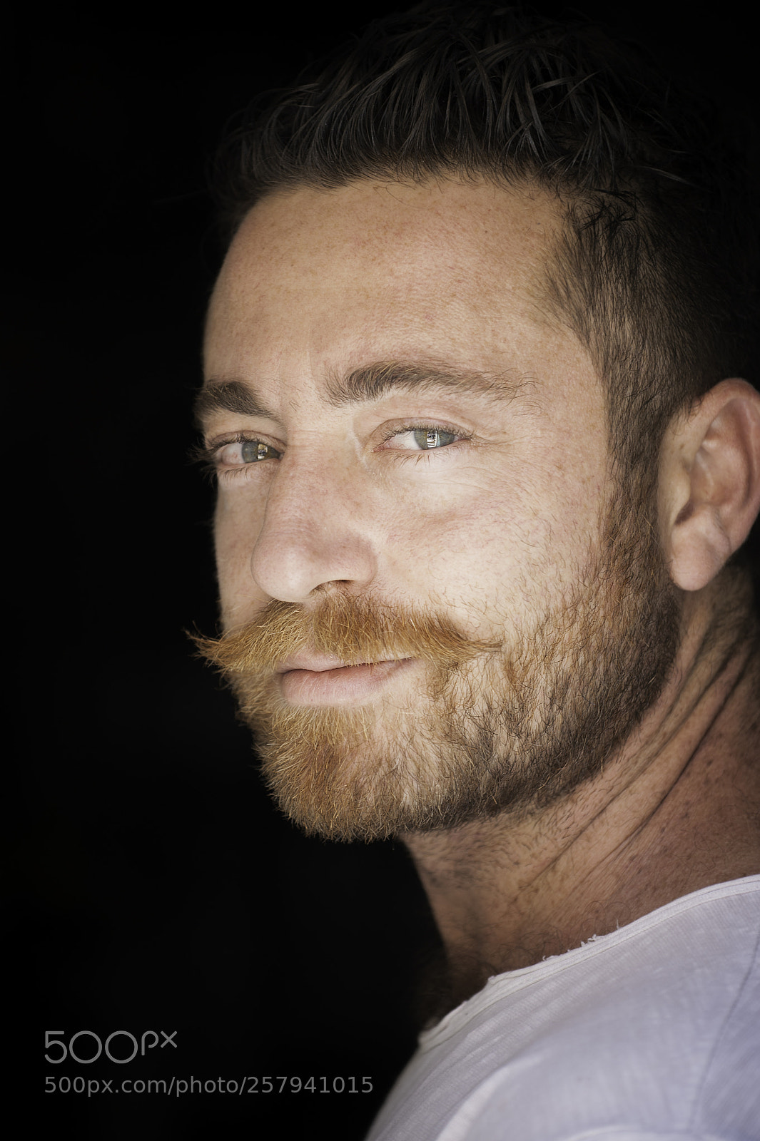 Nikon D700 sample photo. Vertical bar portrait photography