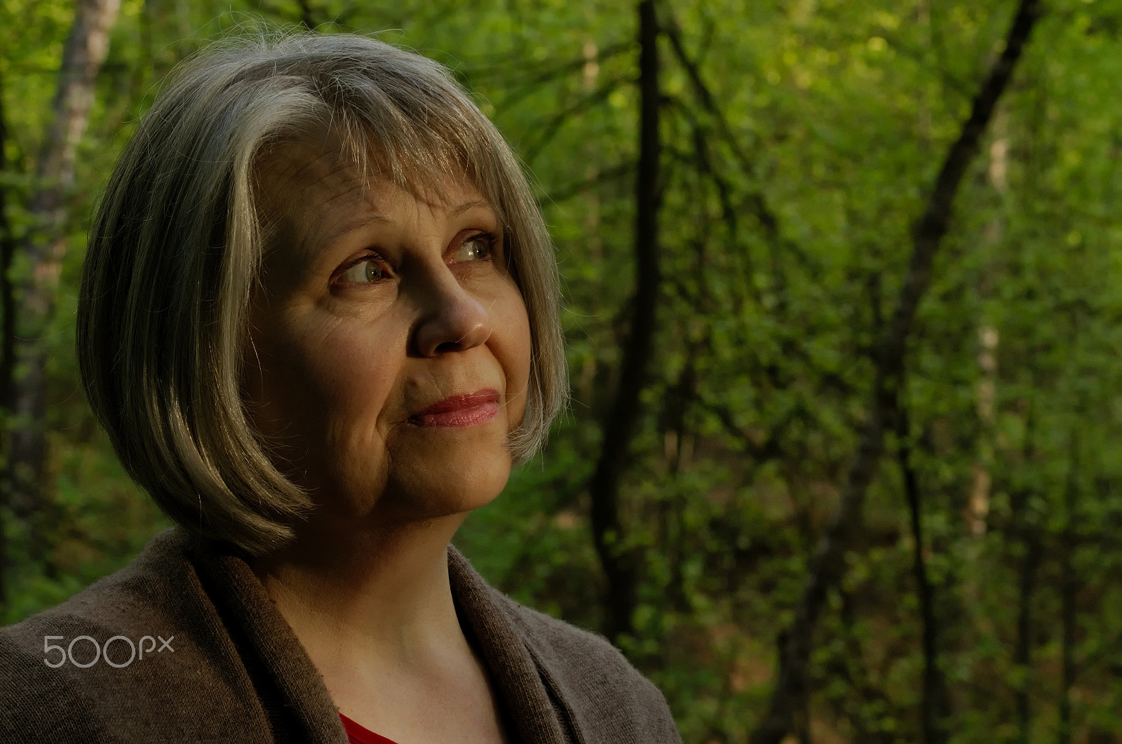 Pentax K-5 IIs sample photo. Early morning prayer in the forest photography